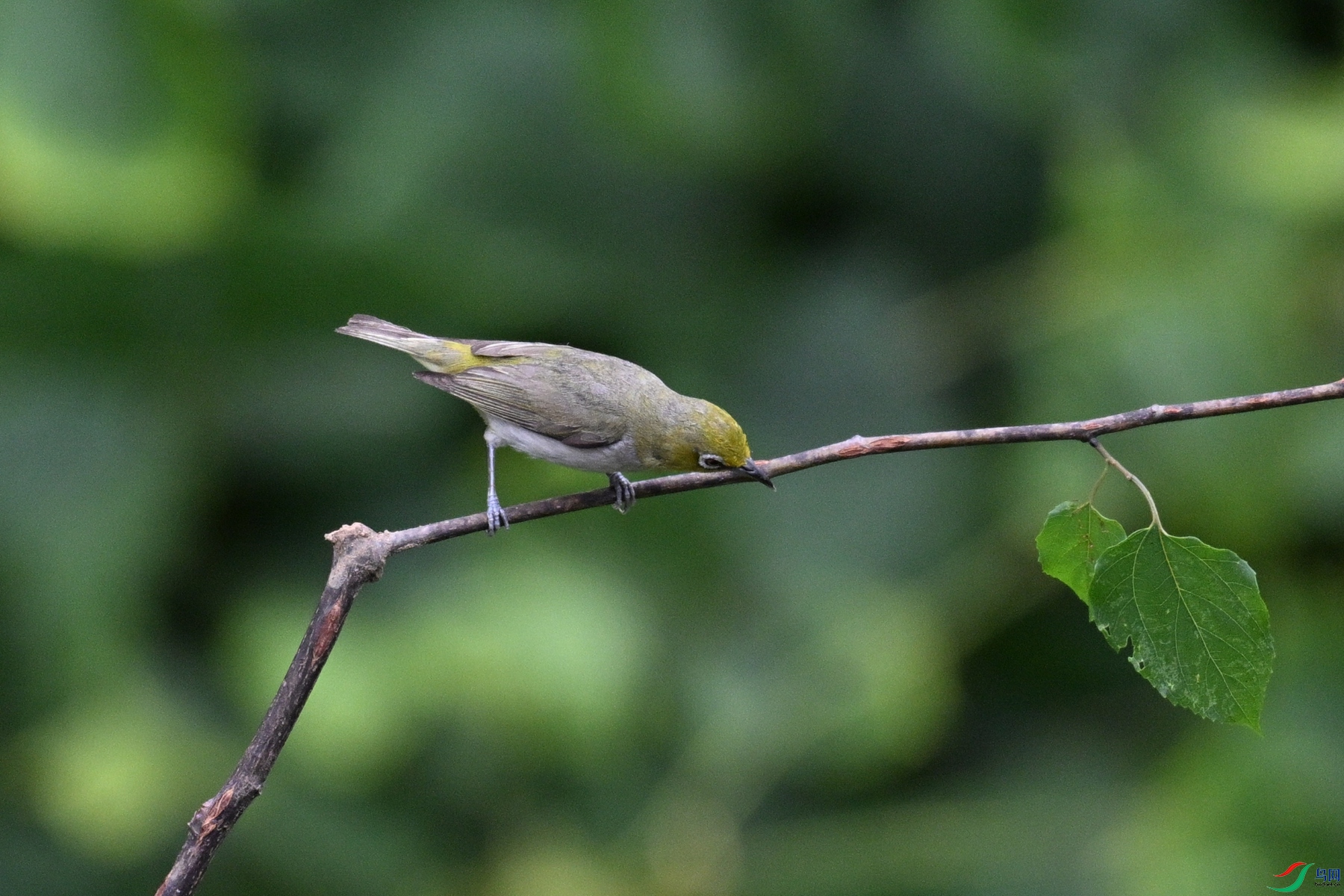 DSC_7891.JPG