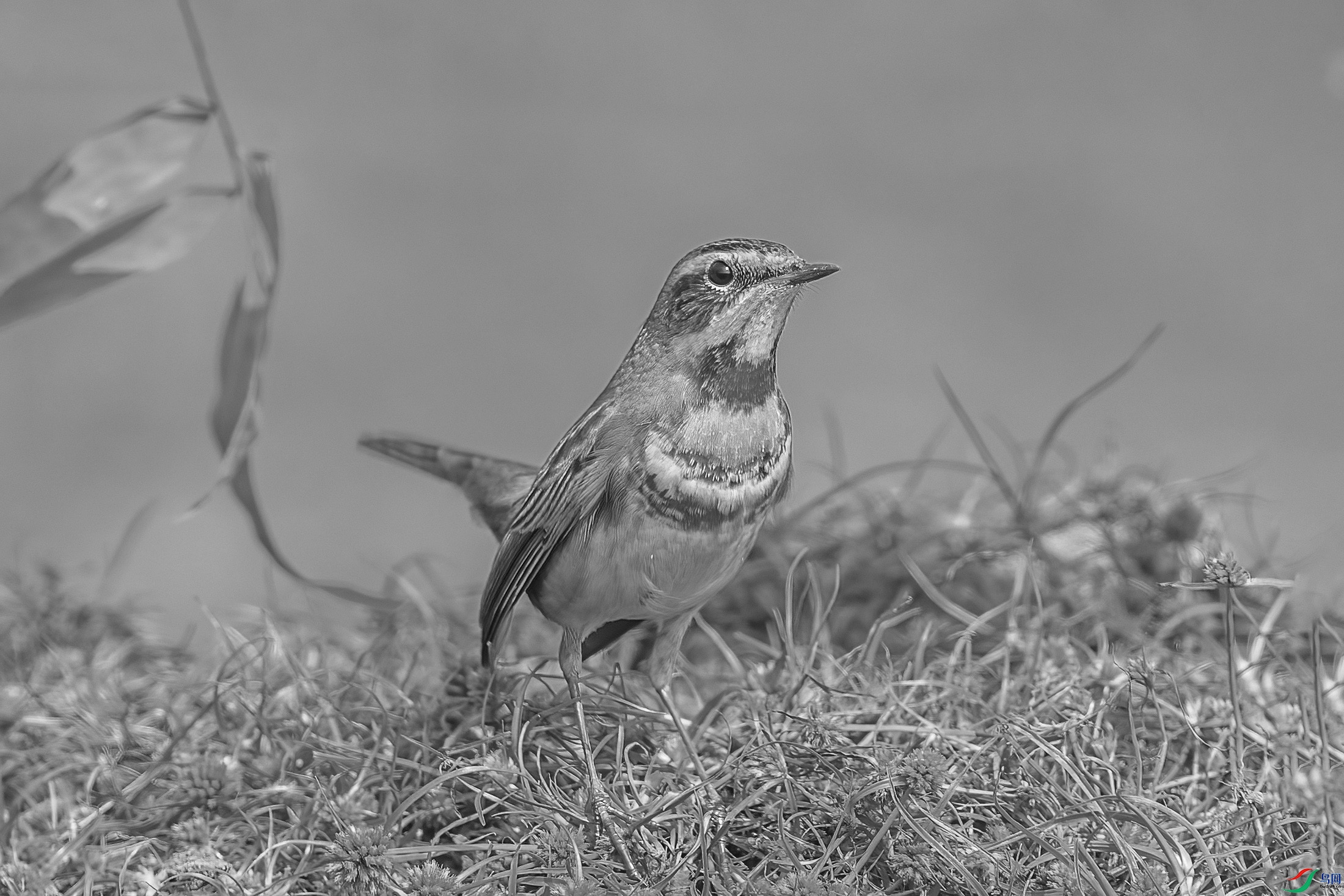 AE1V5008 ����.jpg