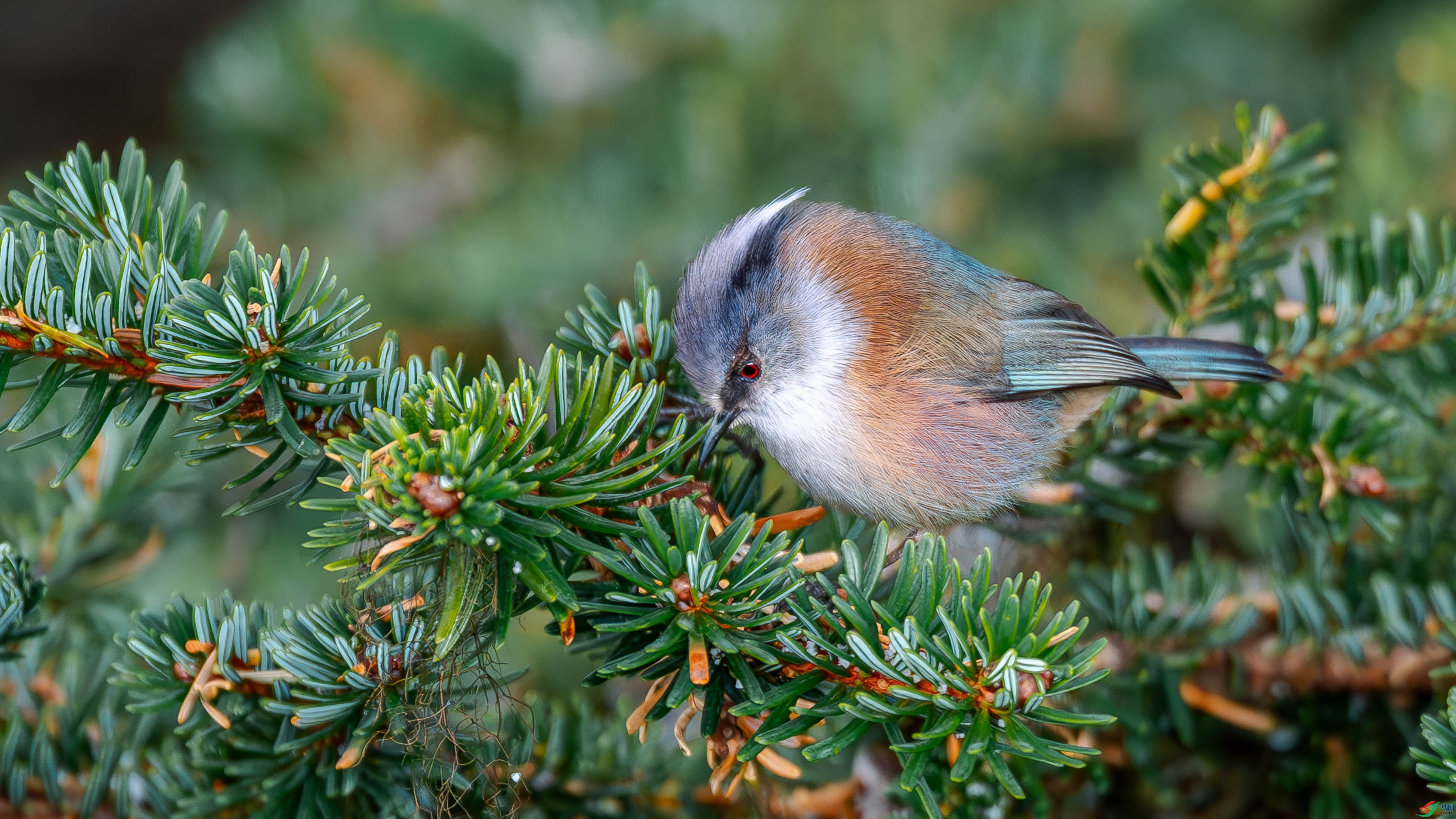 ȸݺ��԰.jpg