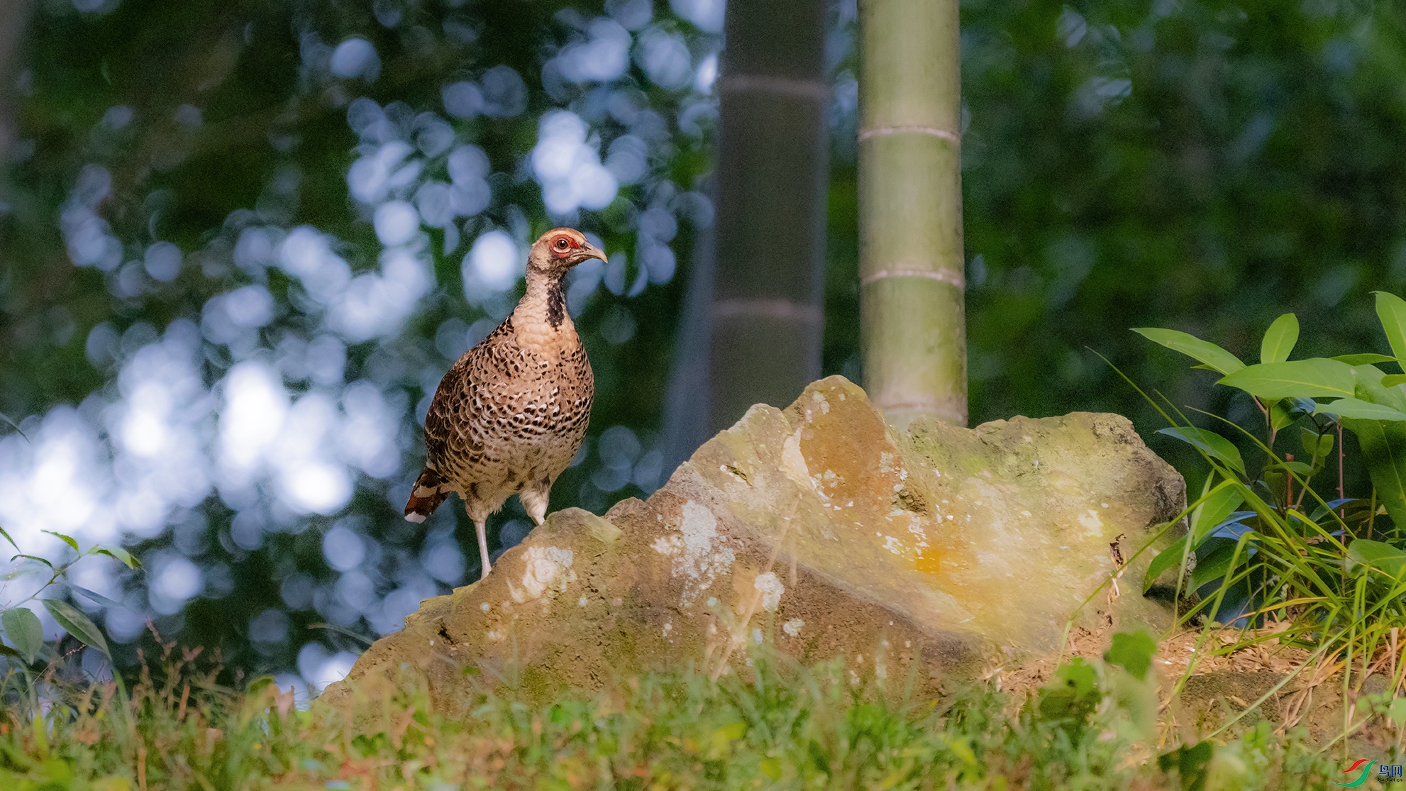 _DSC1071 ����.jpg