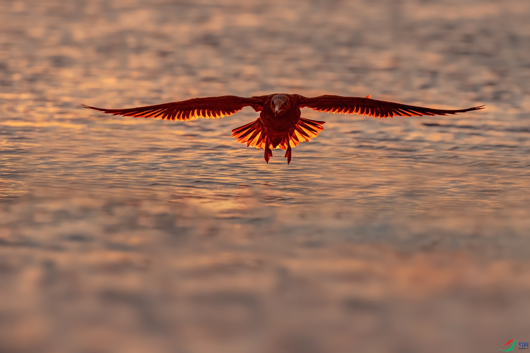 �ƽ���Ÿ----�̽���Ӱ������