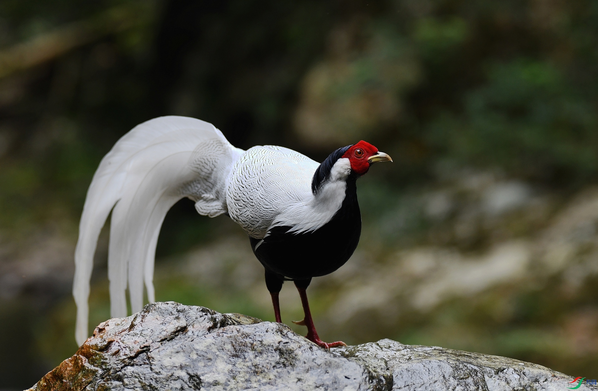 DSC_6815.jpg