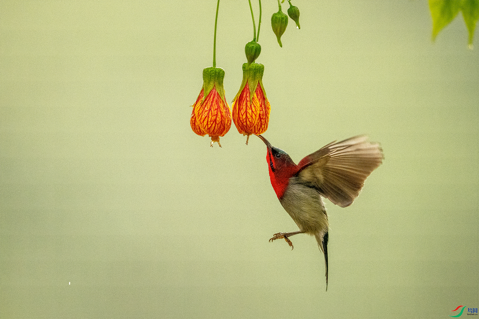 DSC05338.png    0001.png