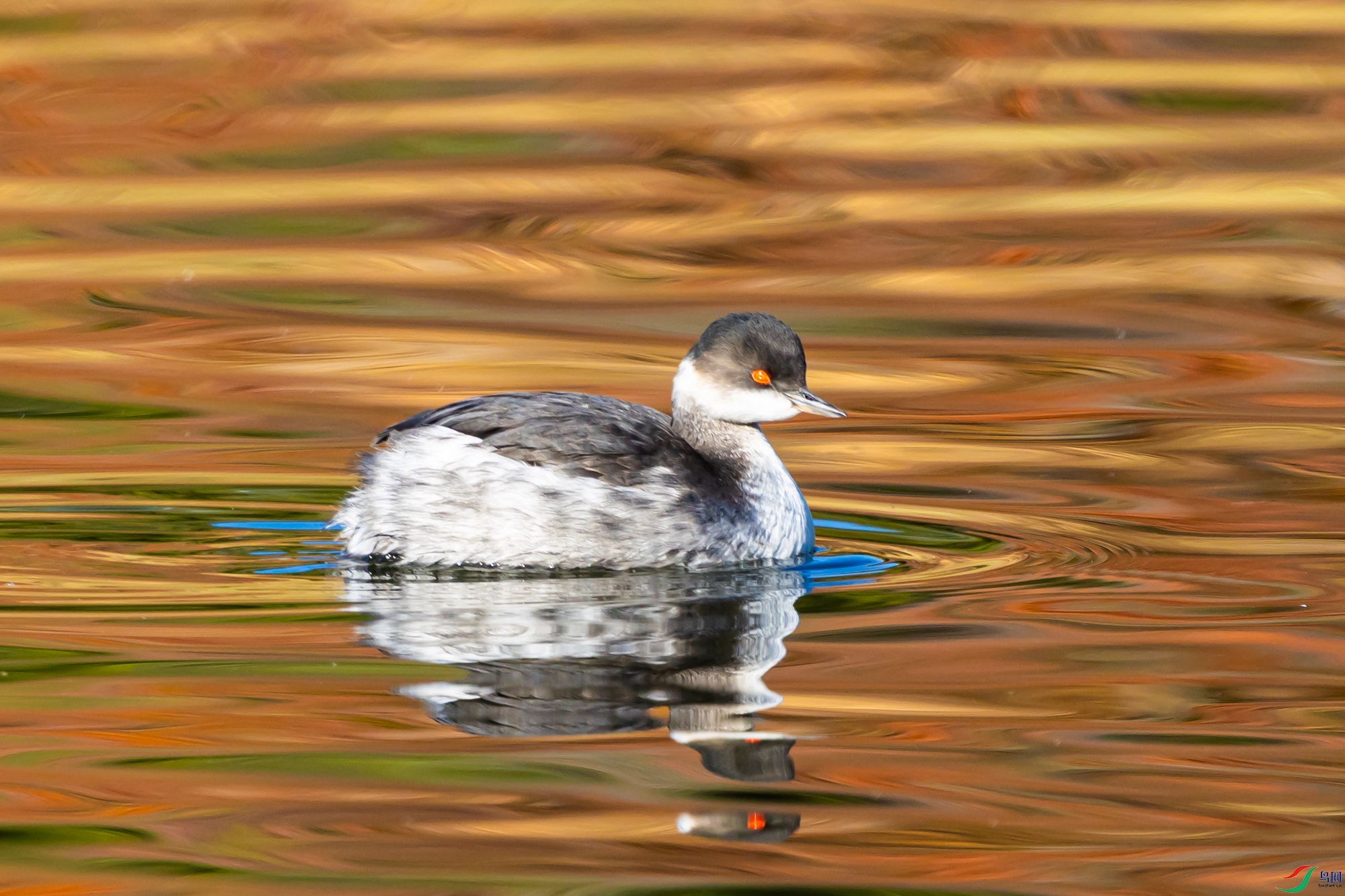 ���������.jpg