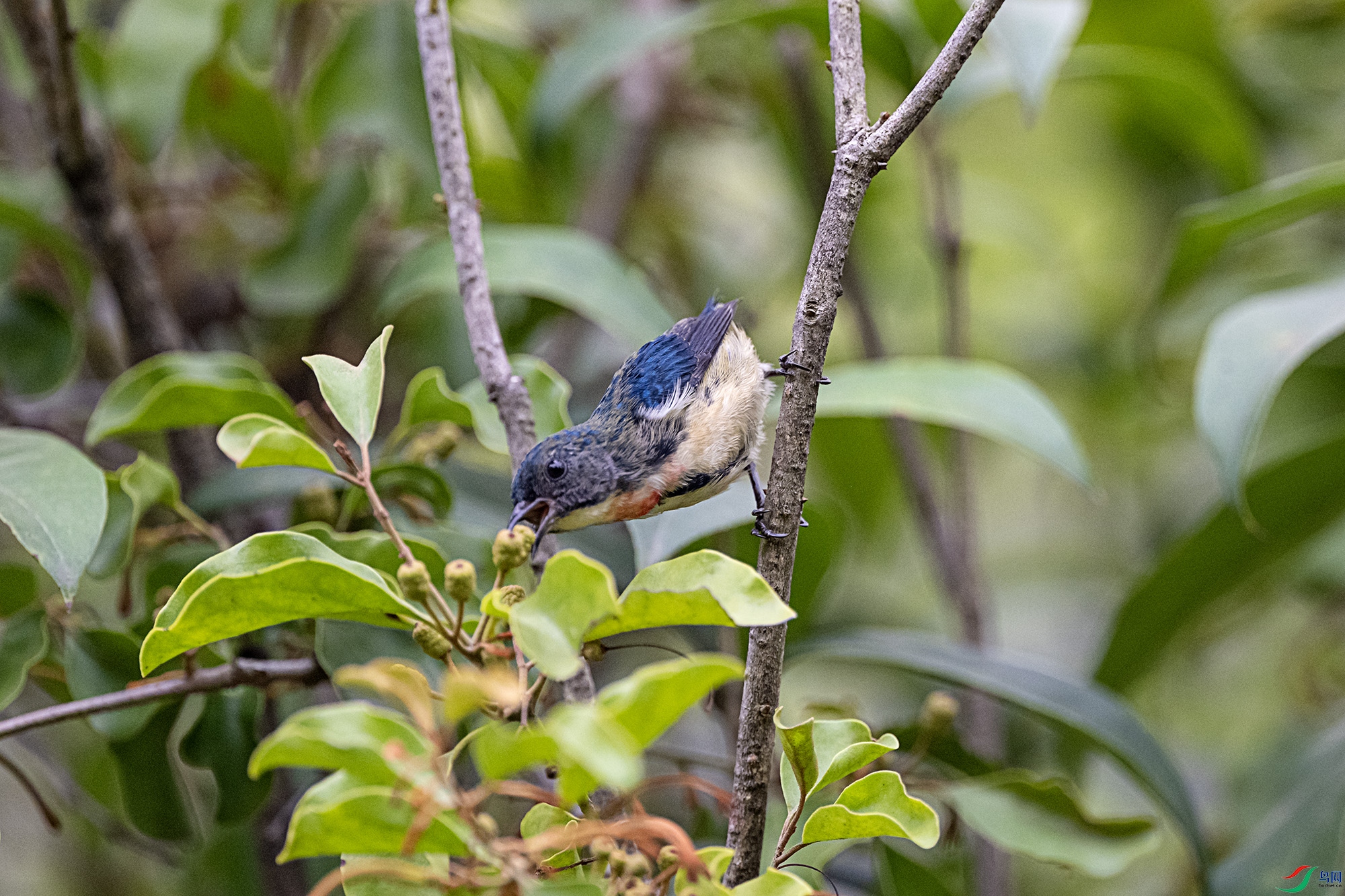 DSC_2704.jpg