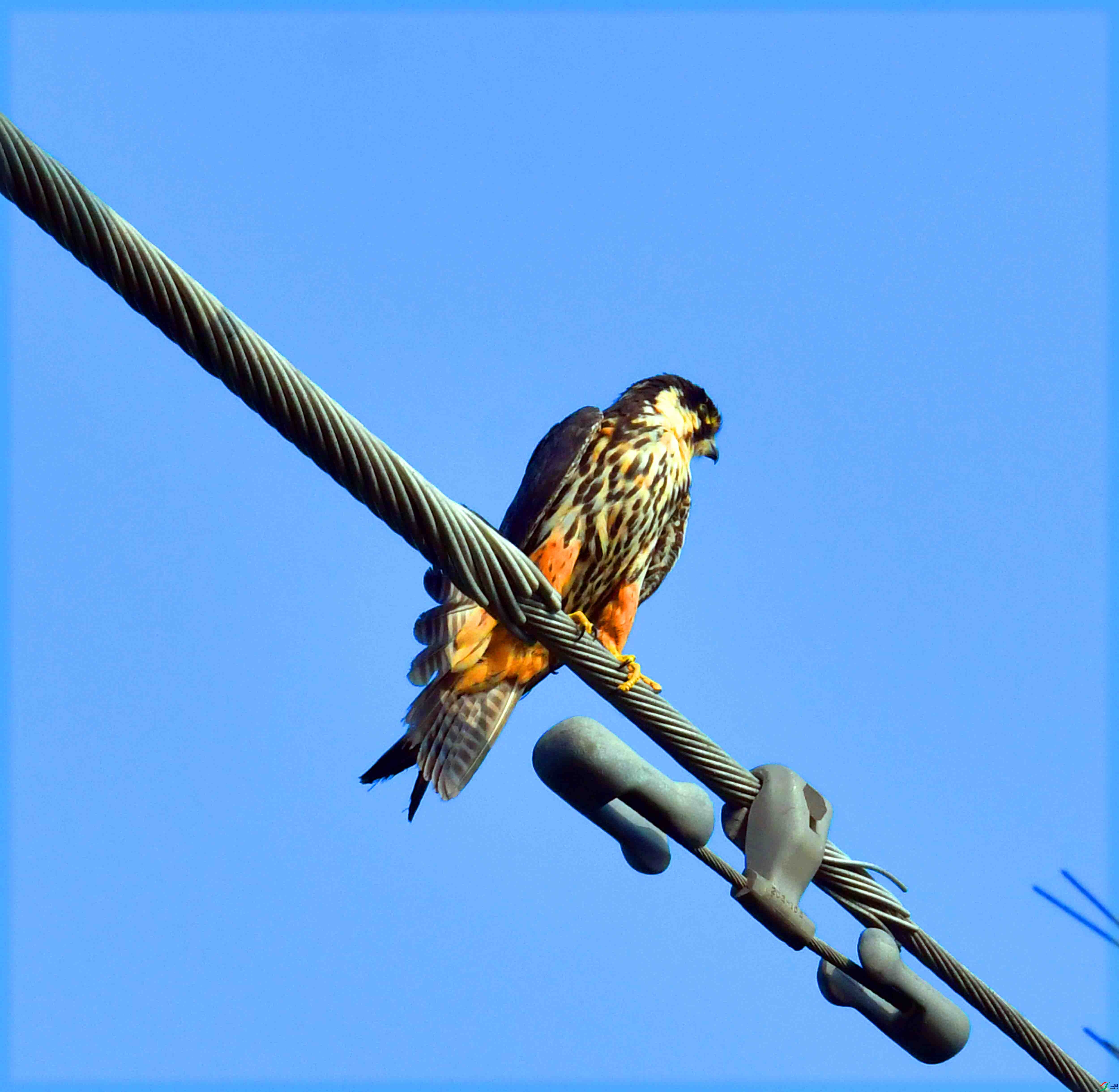 DSC_1232.JPG