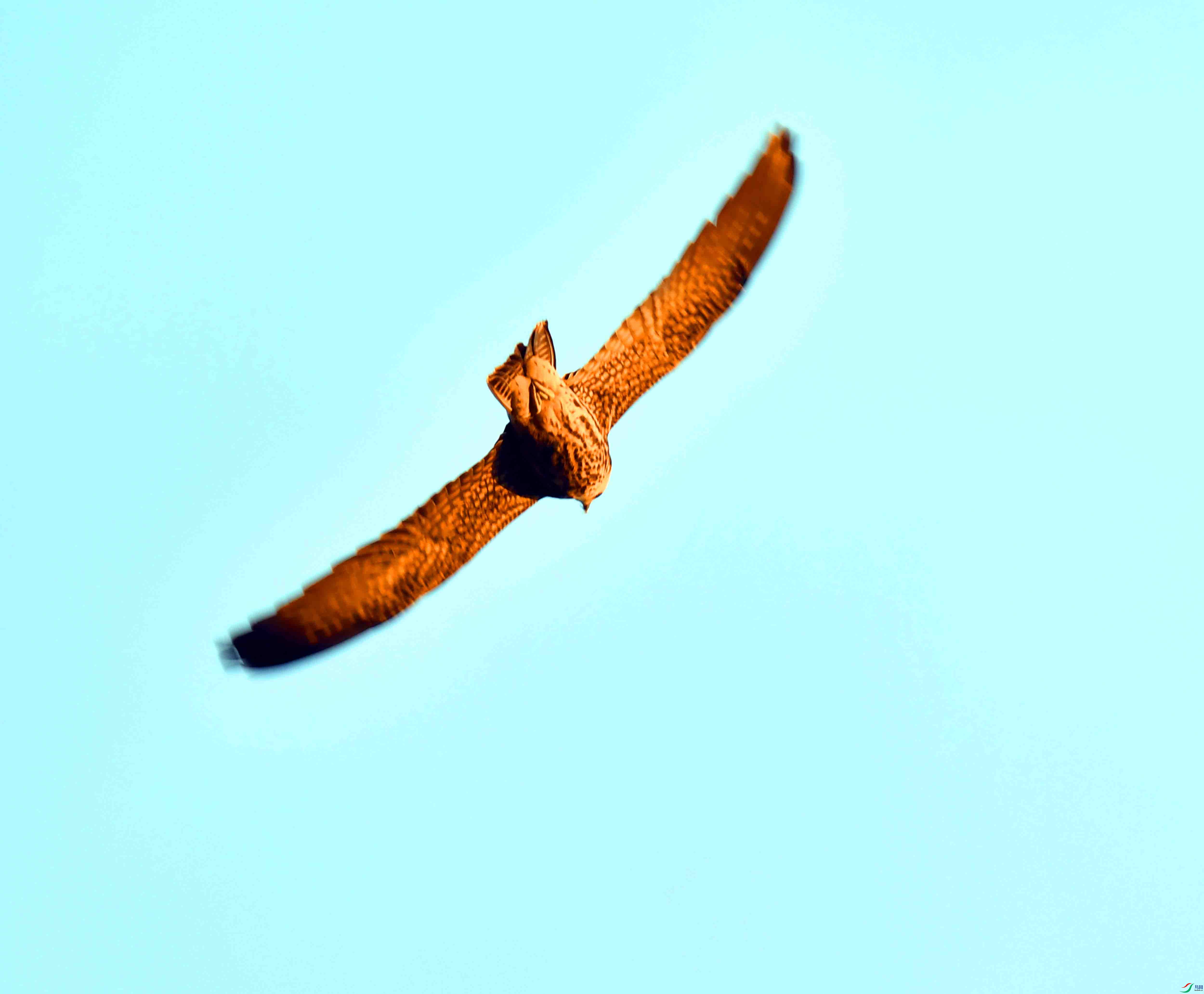 DSC_1286.JPG
