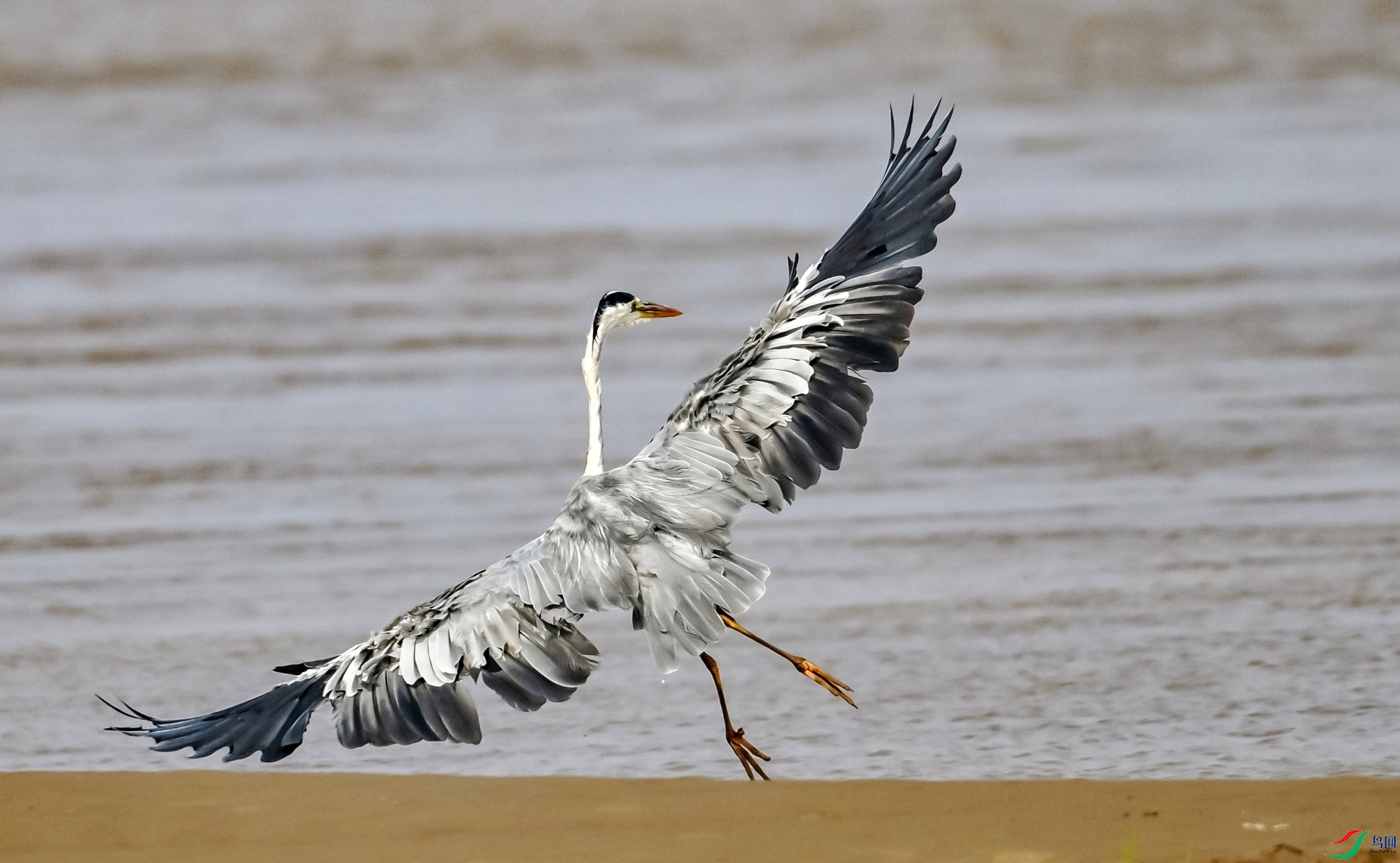 DSC_8874_conew1.jpg