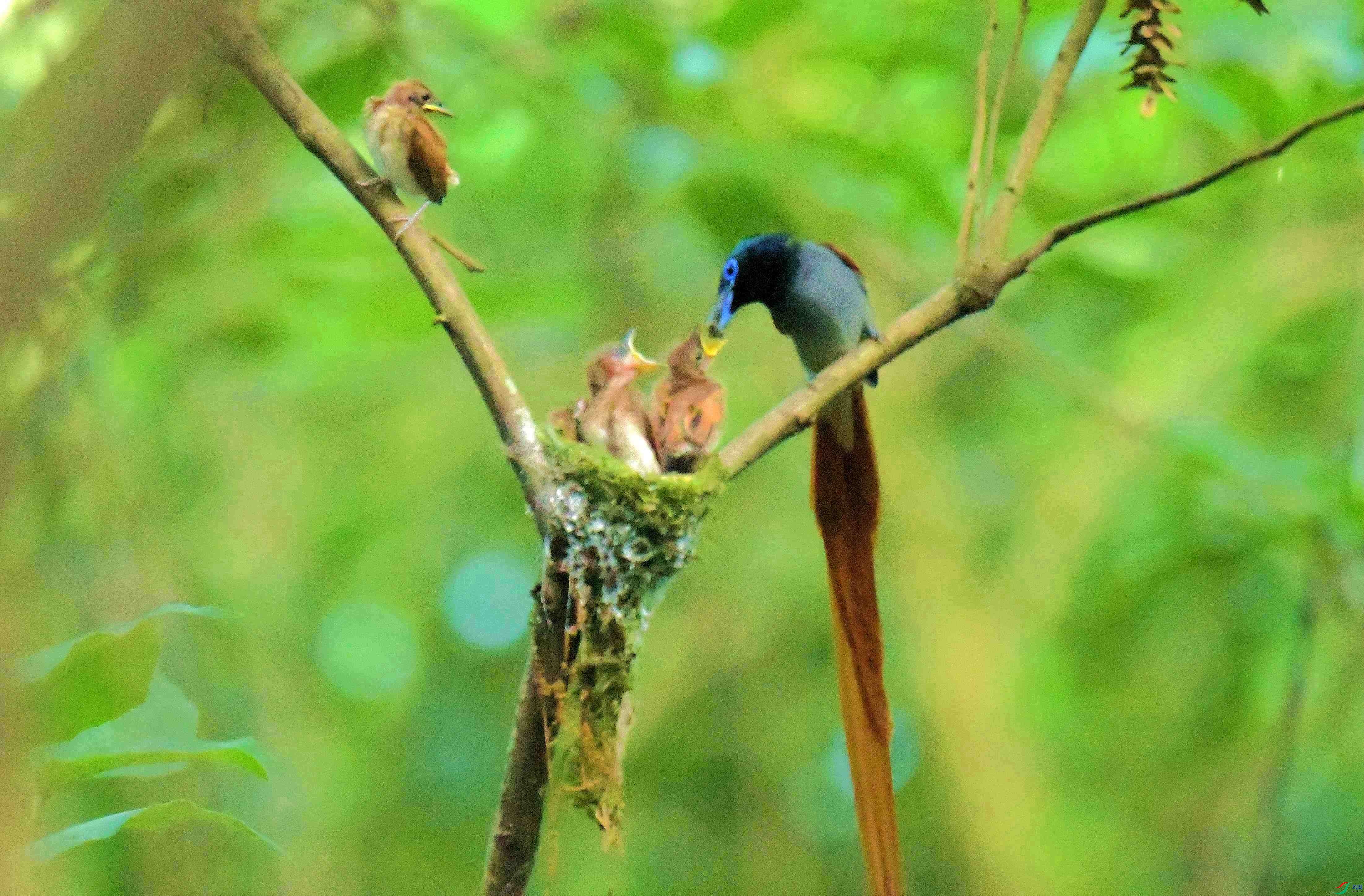DSC_5886.JPG