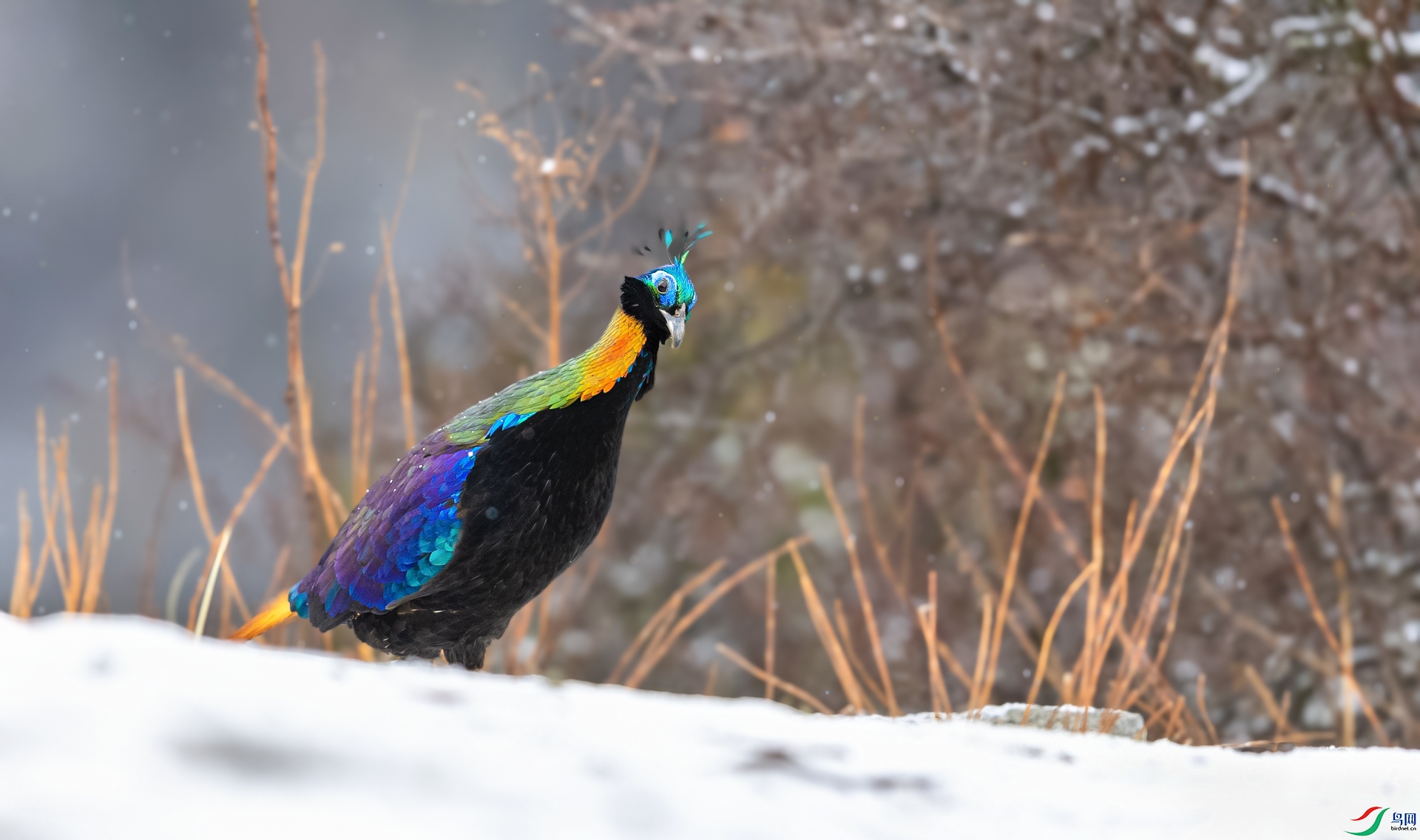 0L7A6934��_1.jpg