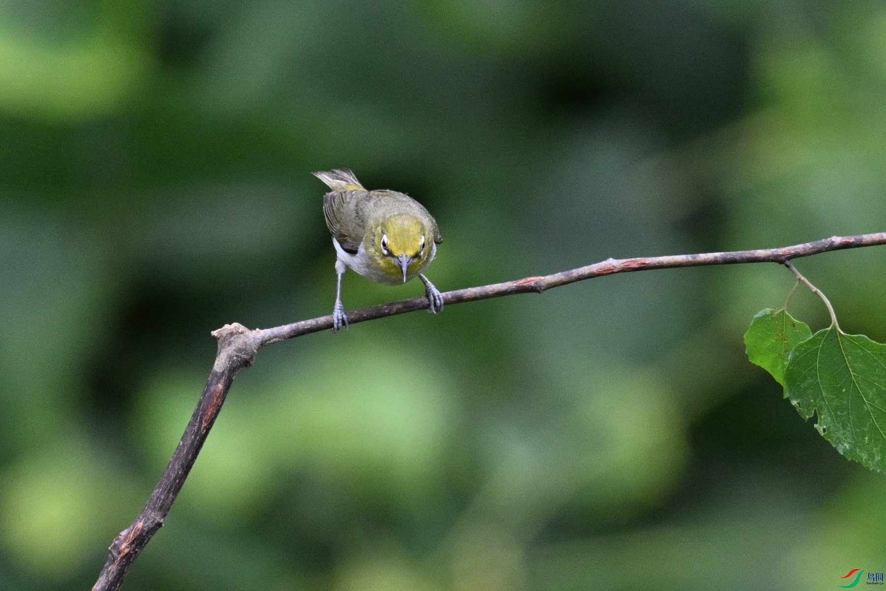 DSC_7896.JPG