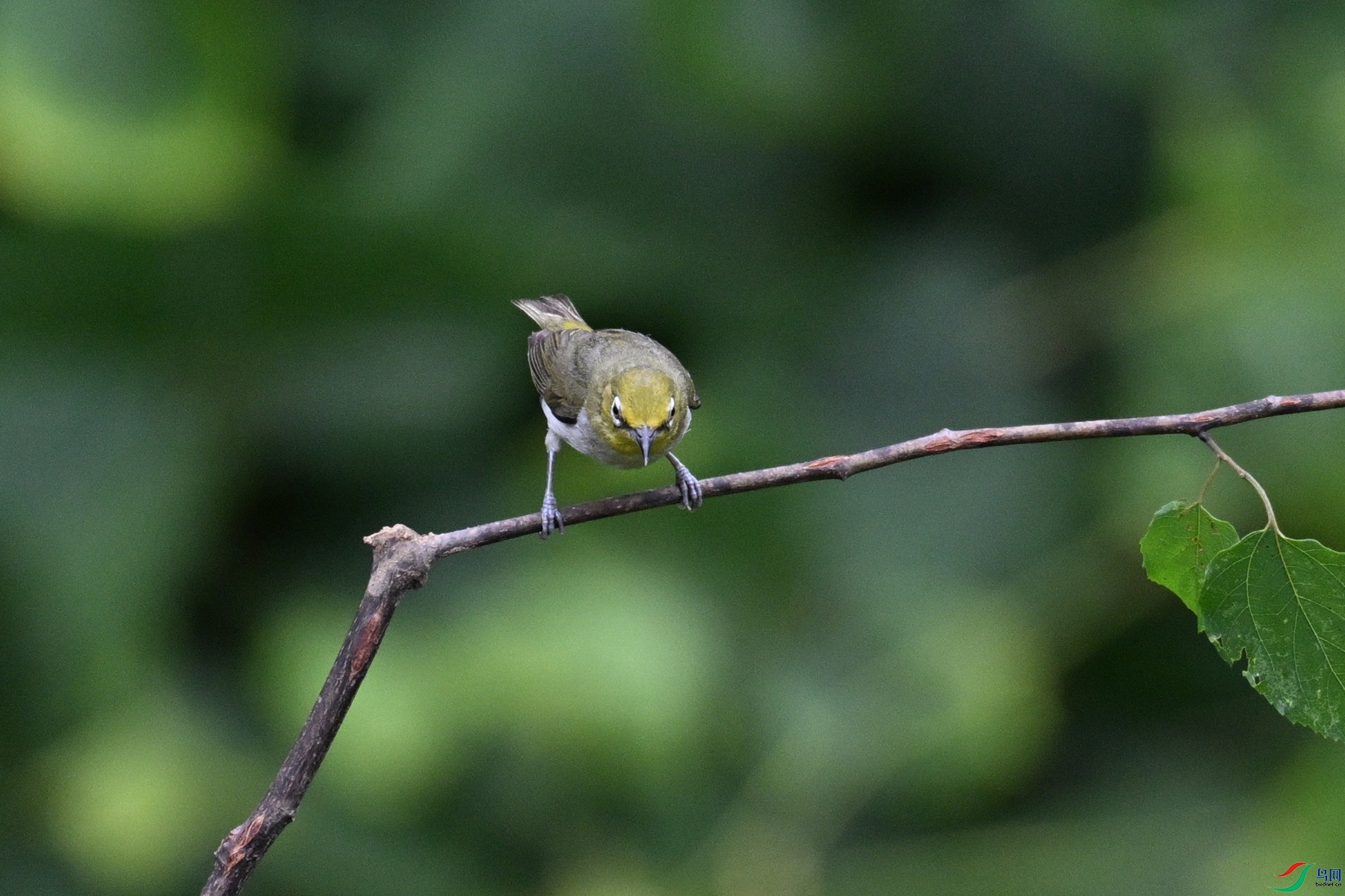 DSC_7916.JPG