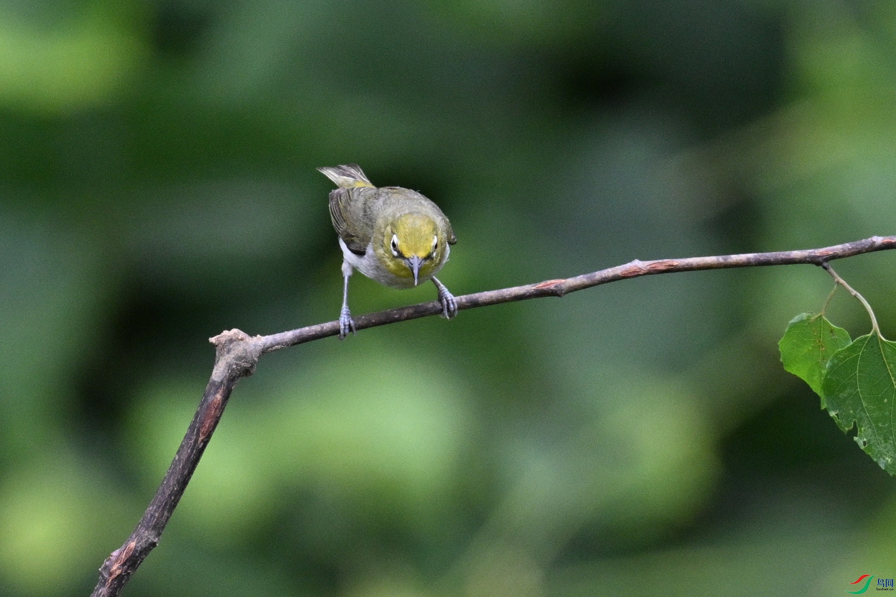 DSC_7897.JPG