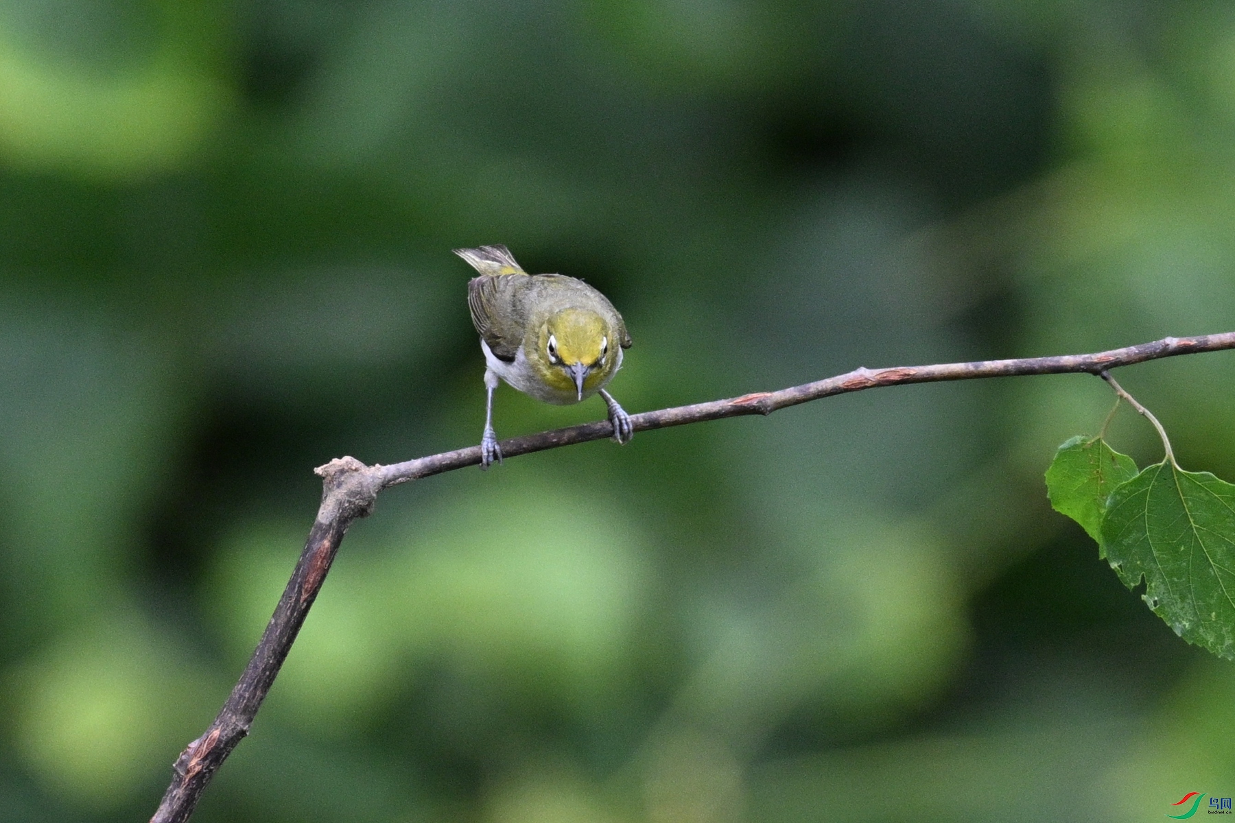 DSC_7898.JPG