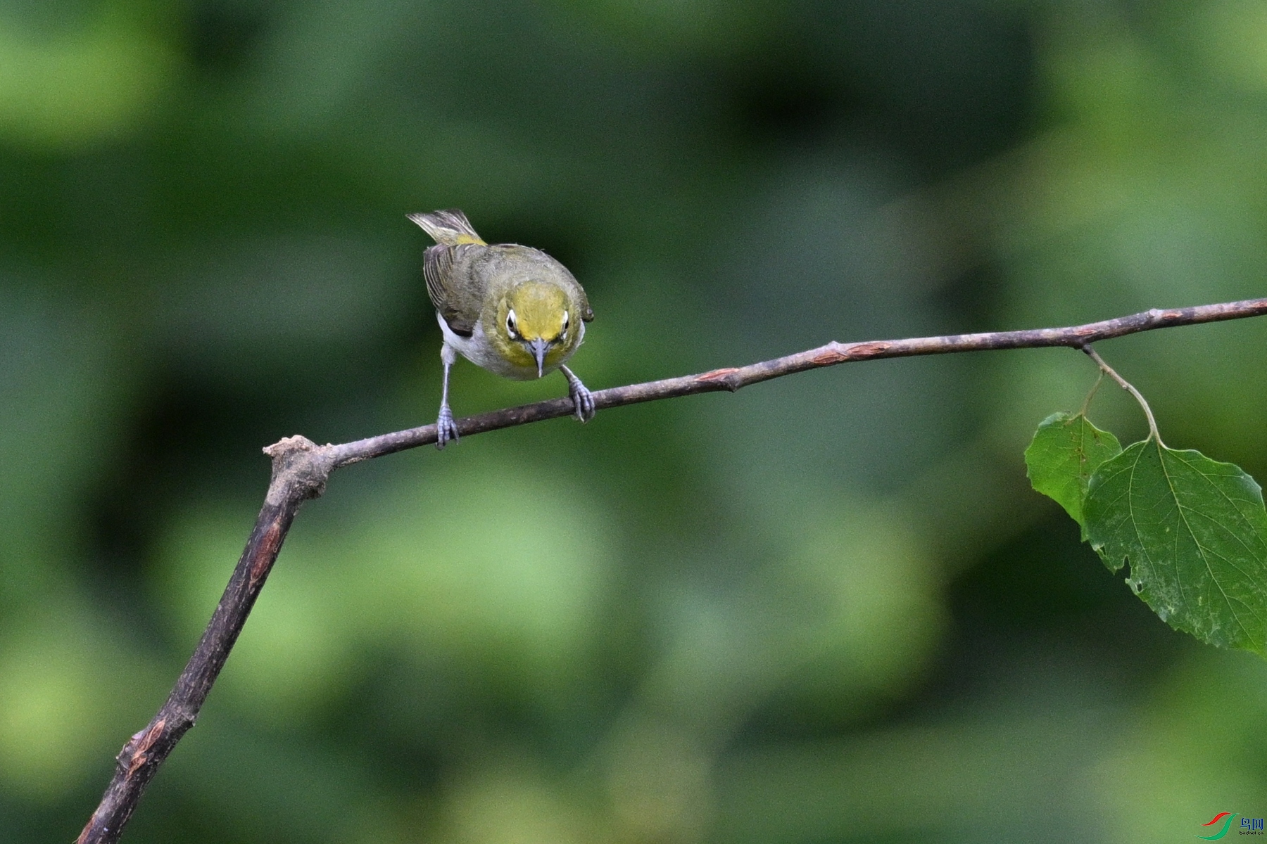 DSC_7908.JPG