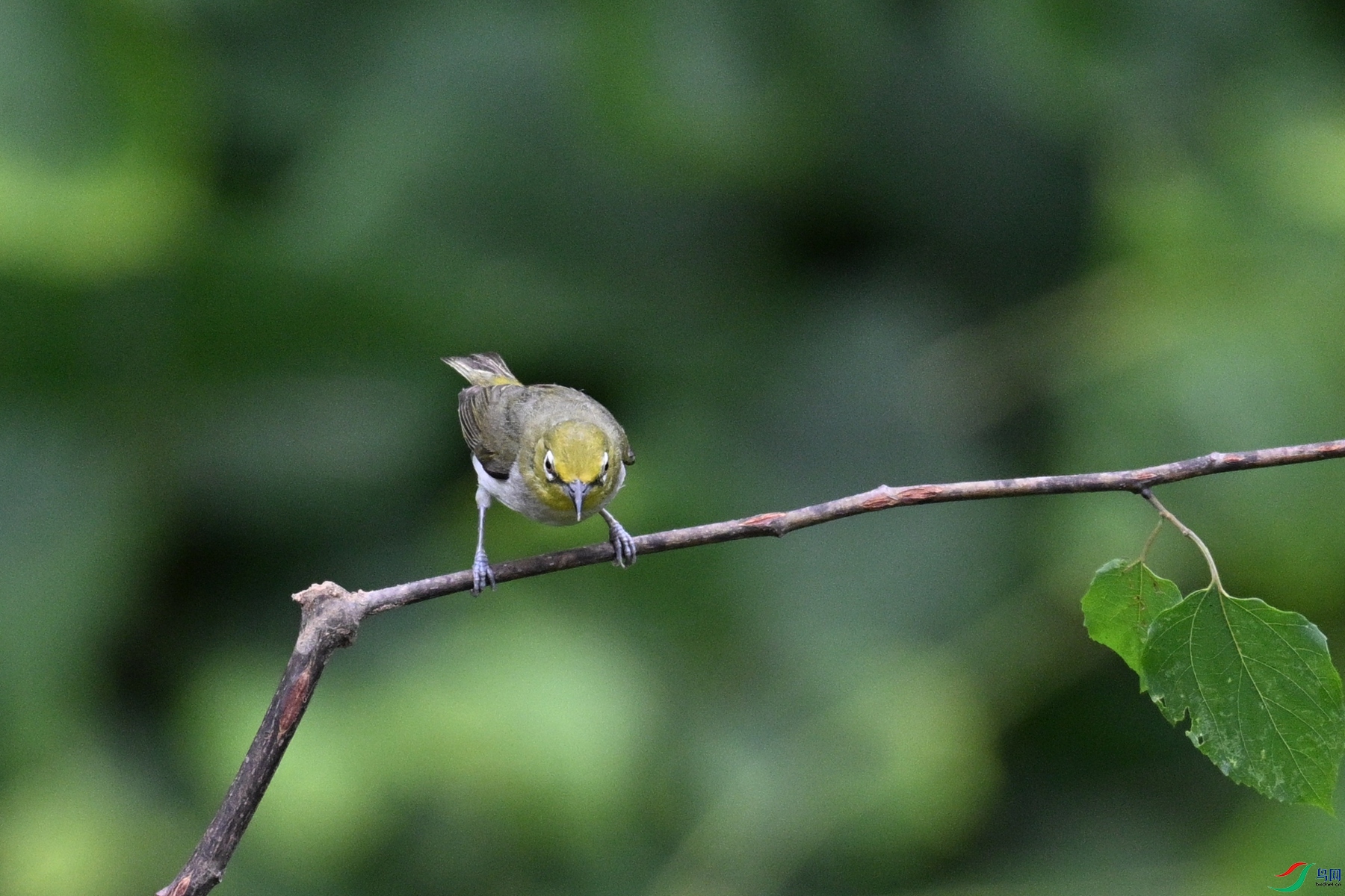 DSC_7899.JPG