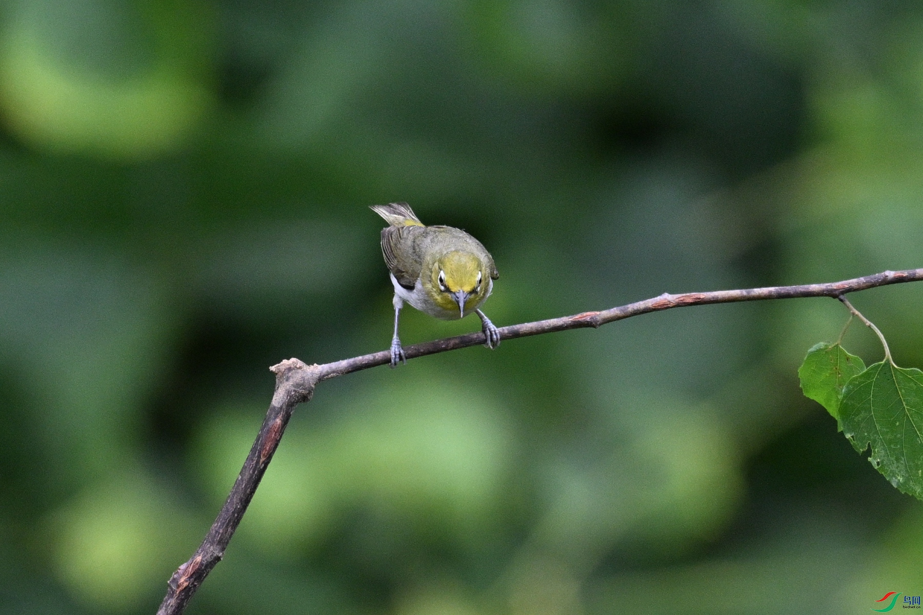 DSC_7905.JPG