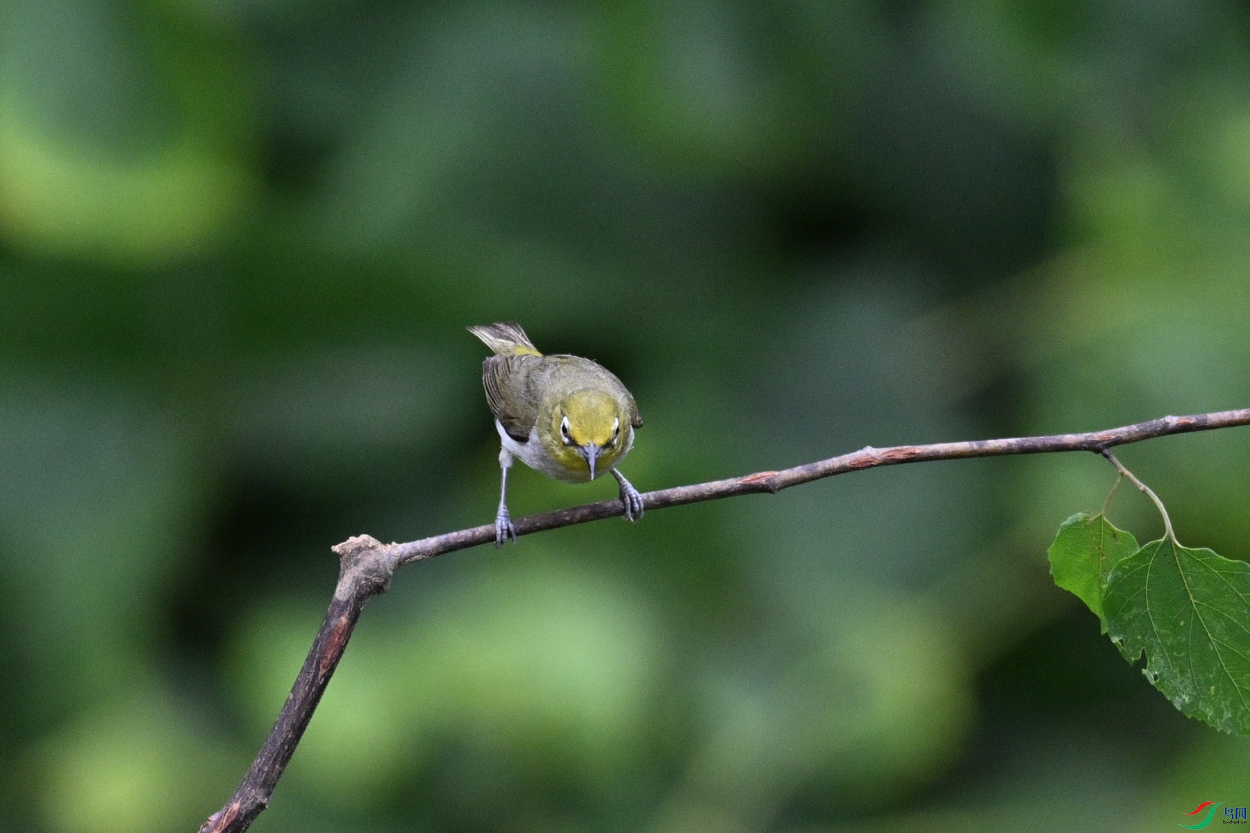 DSC_7909.JPG