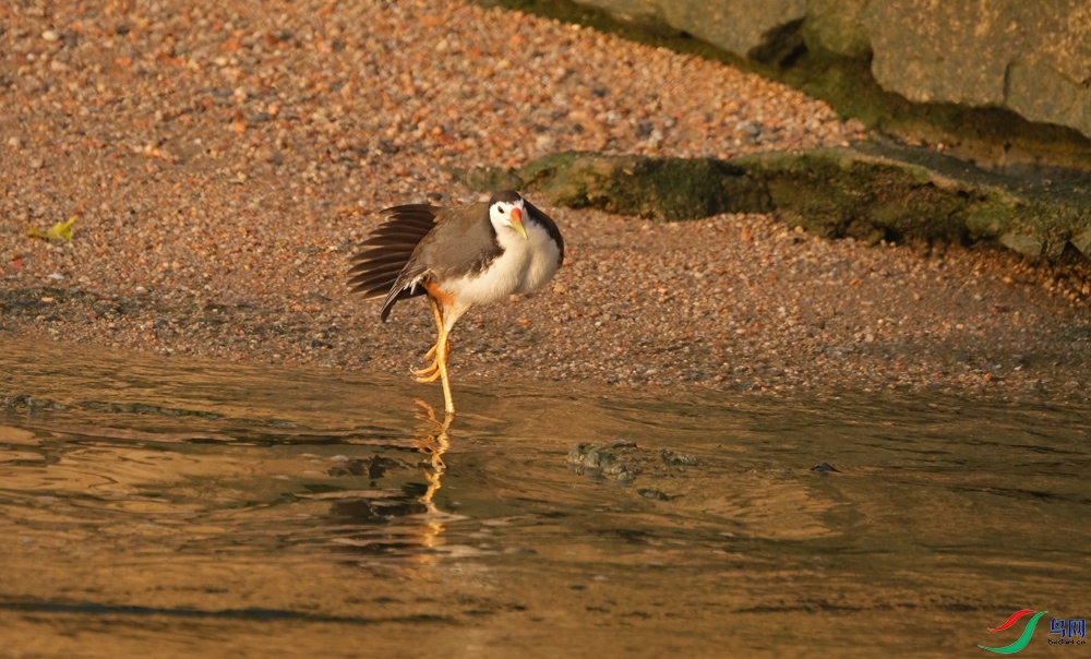 DSCF9136.1.jpg