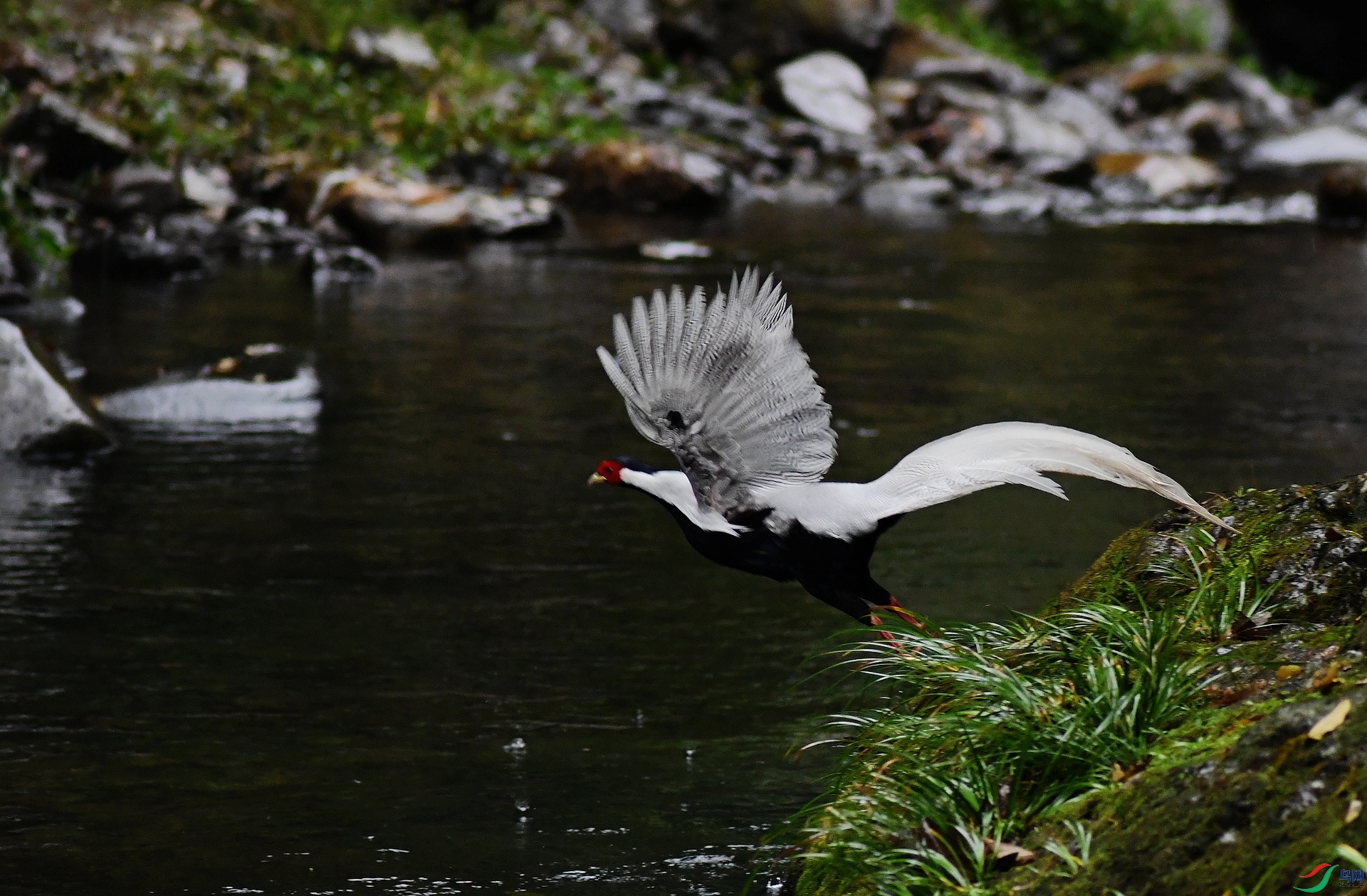 DSC_1229.jpg
