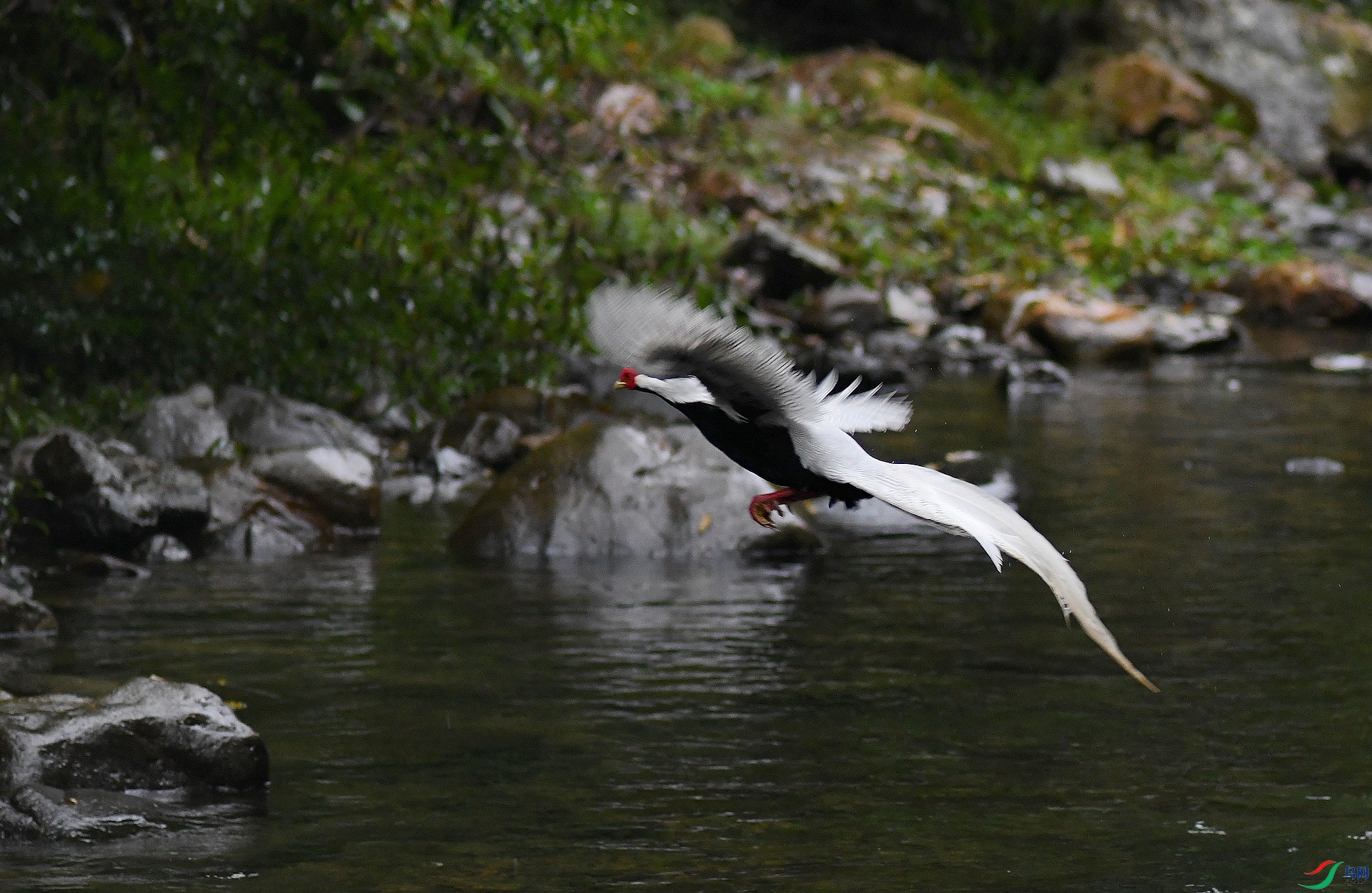 DSC_1231.jpg