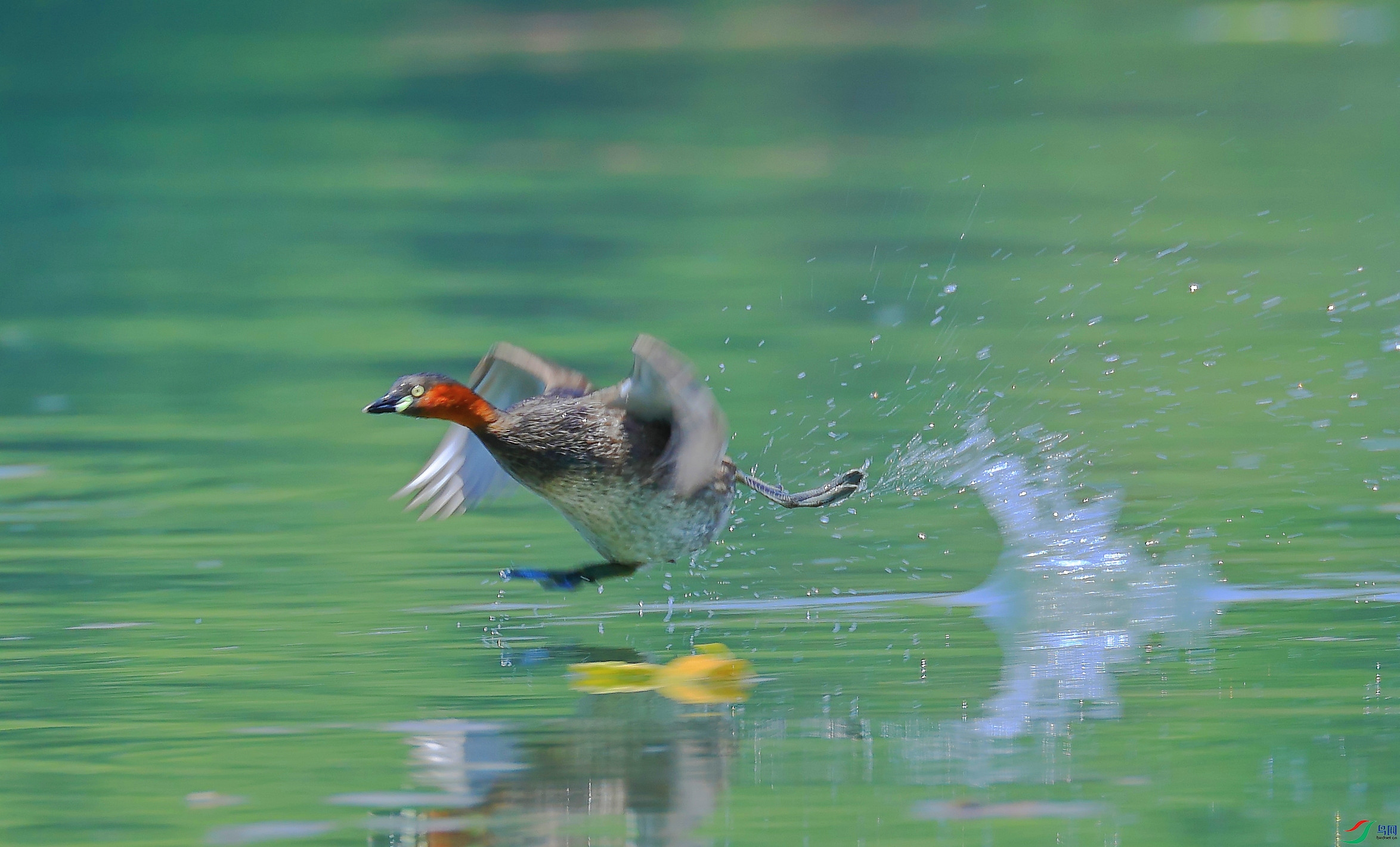 L10A0271 ����_����.jpg