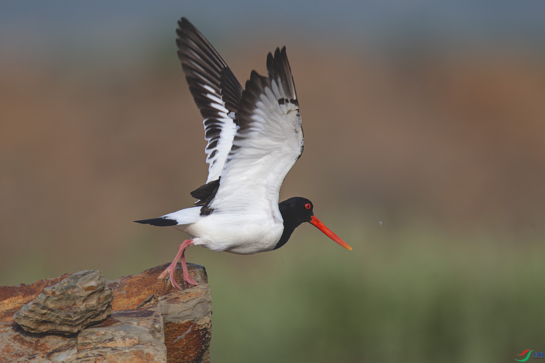 _MG_0120 ����.jpg