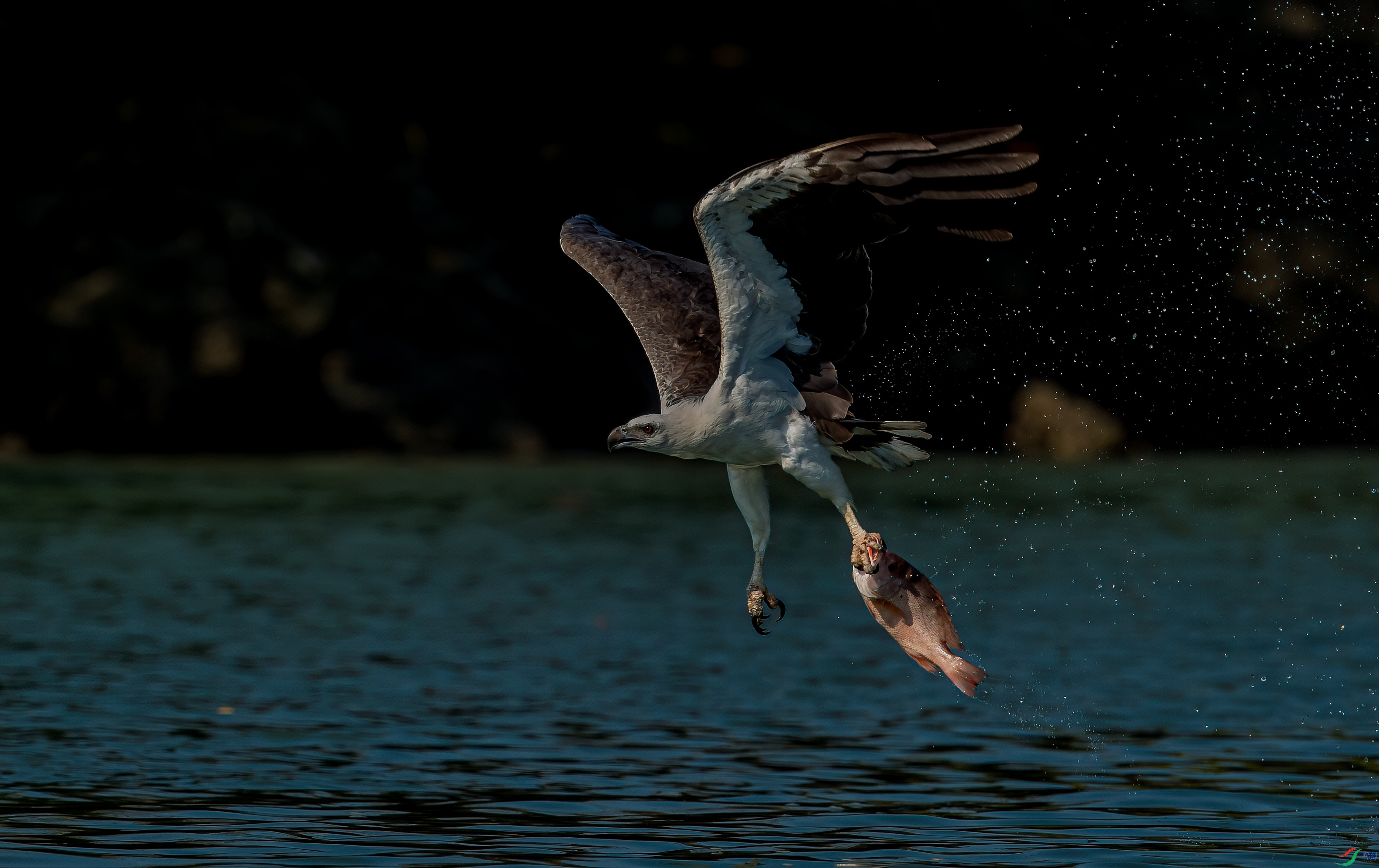 _DSC7608-1.jpg