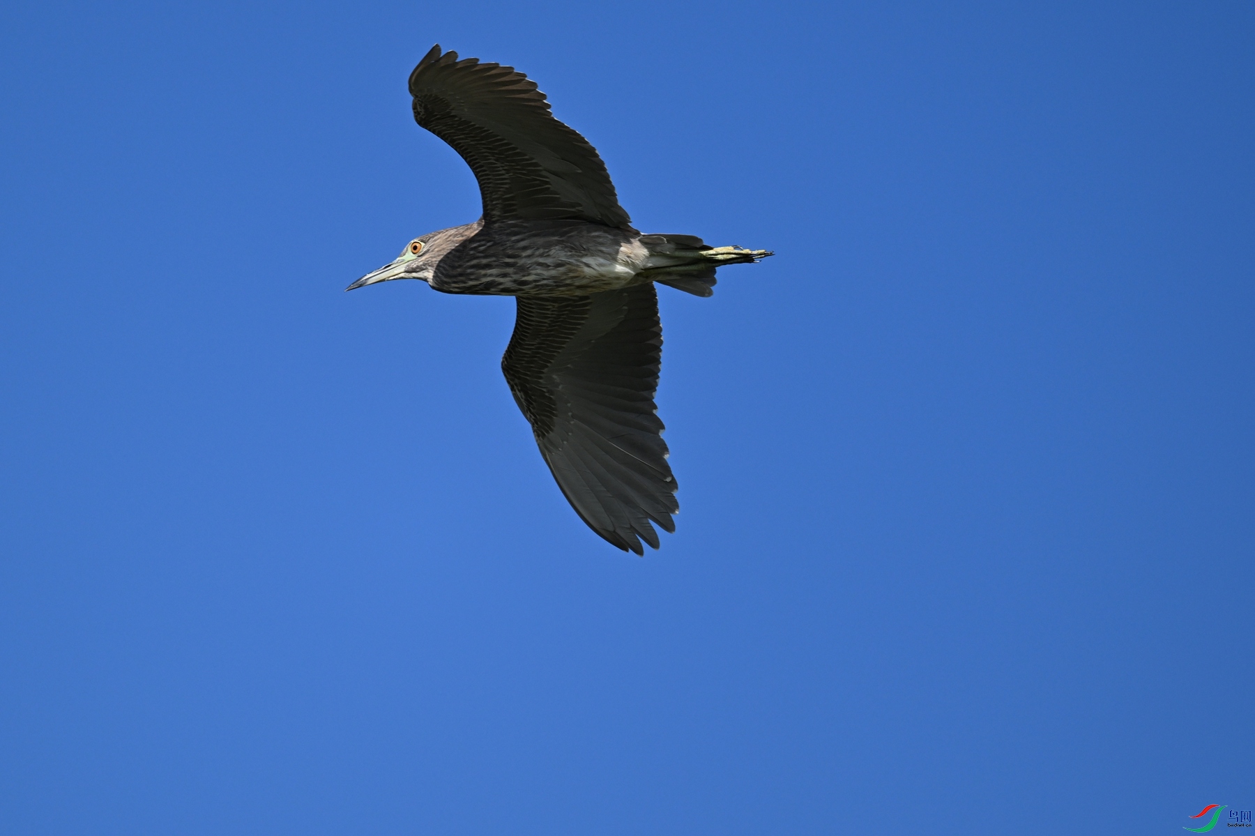 DSC_5043.JPG