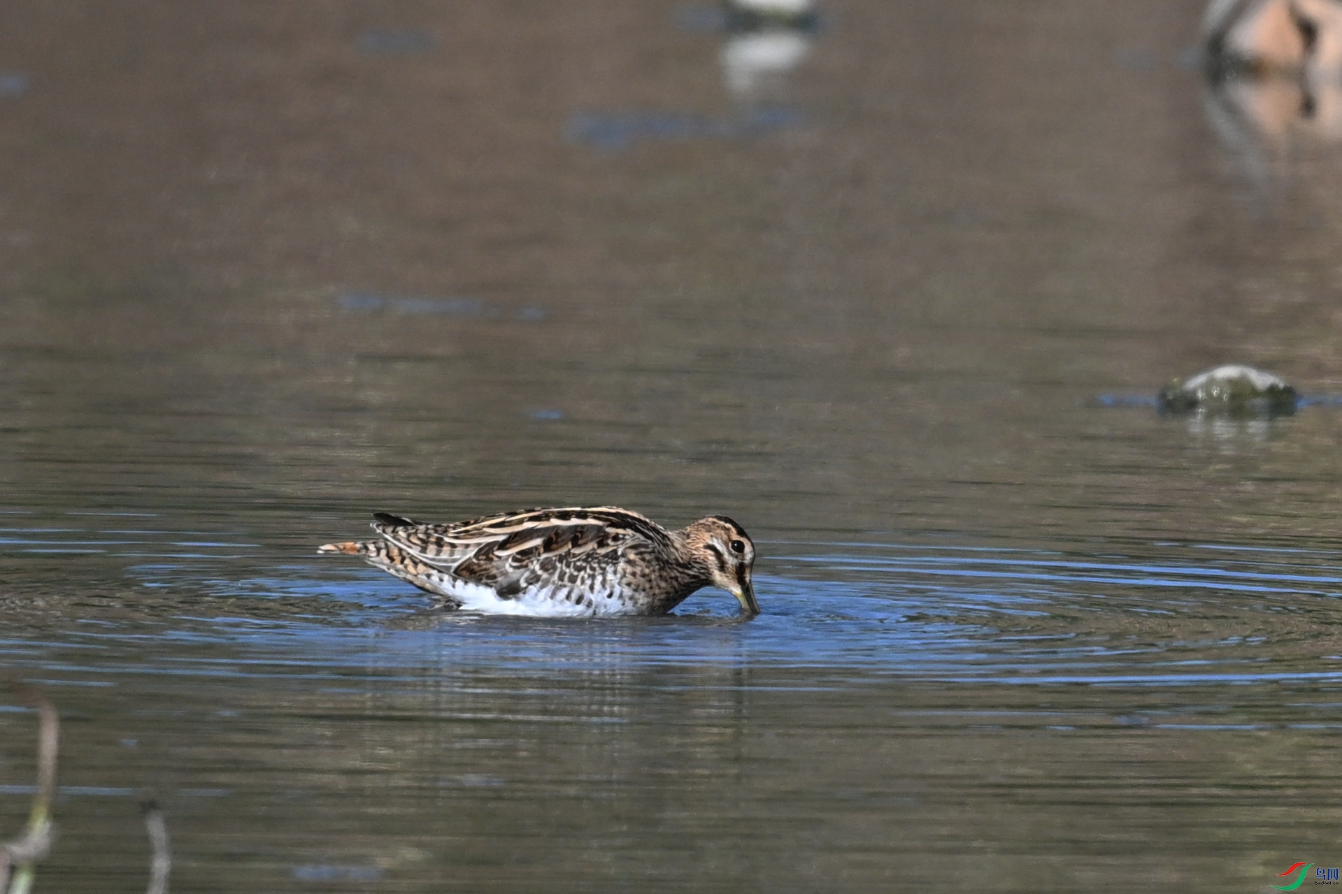 DSC_5060.JPG