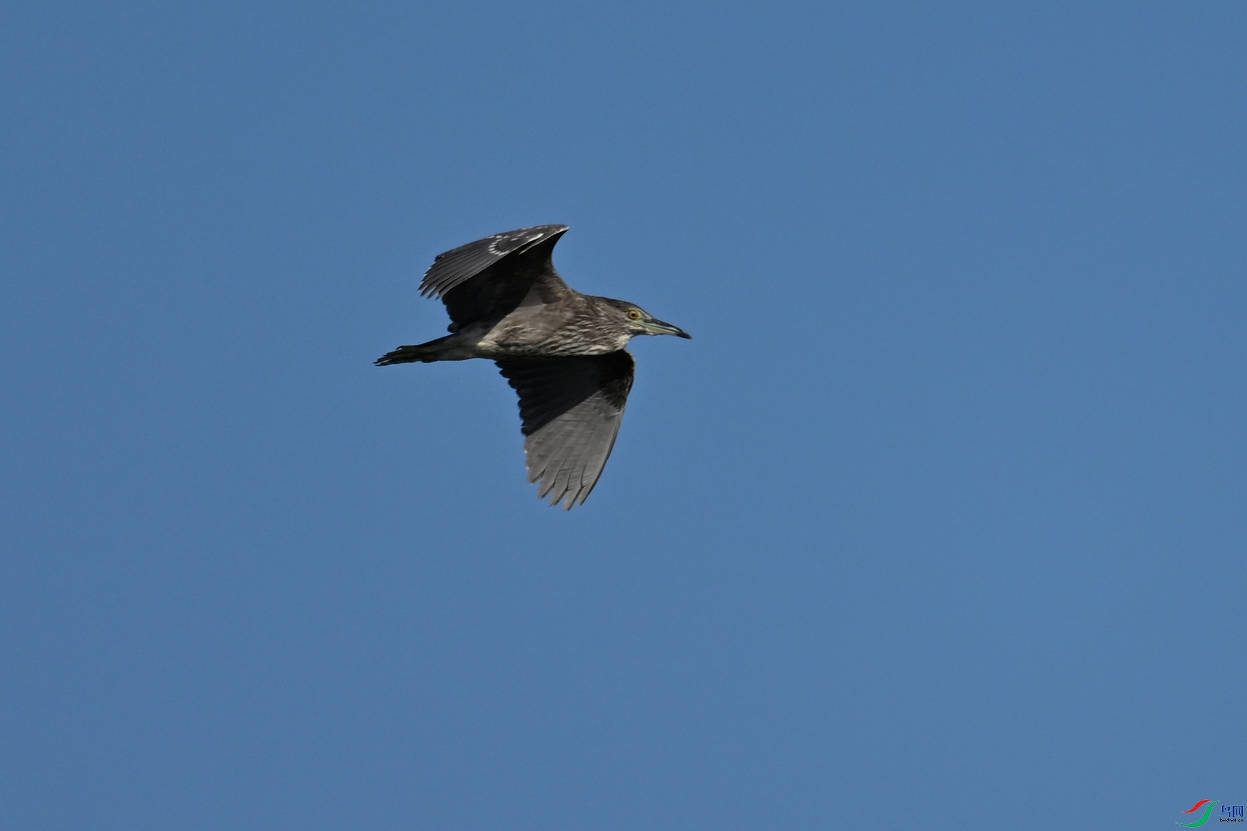 DSC_5038.JPG