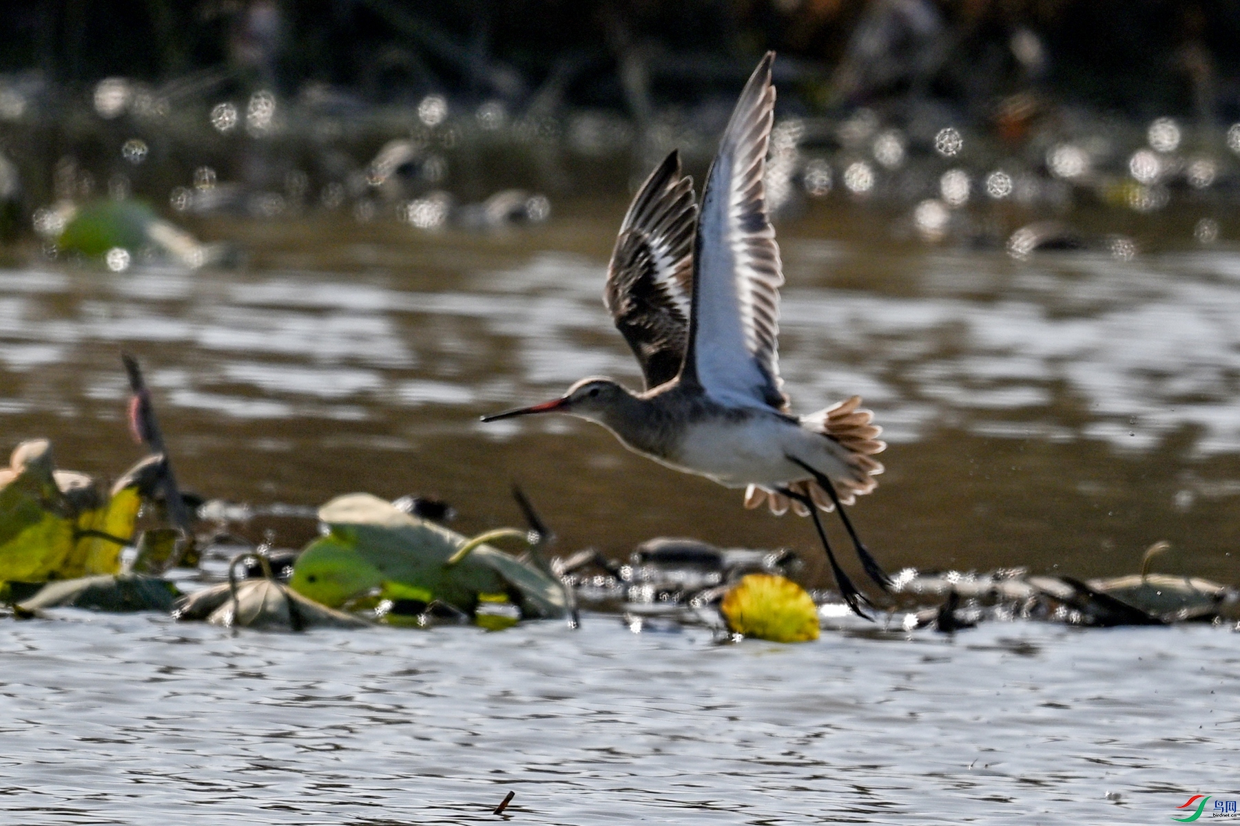 DSC_5029.JPG