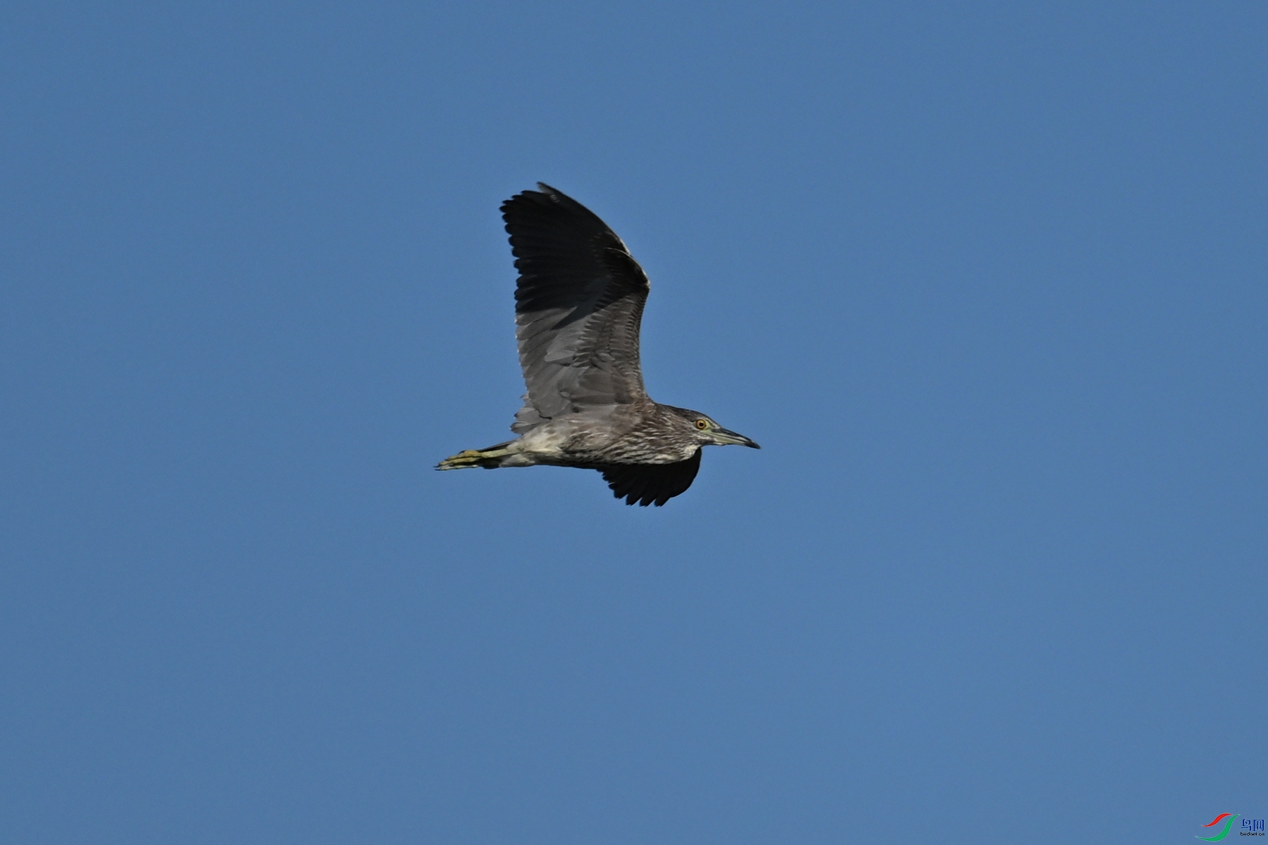 DSC_5039.JPG