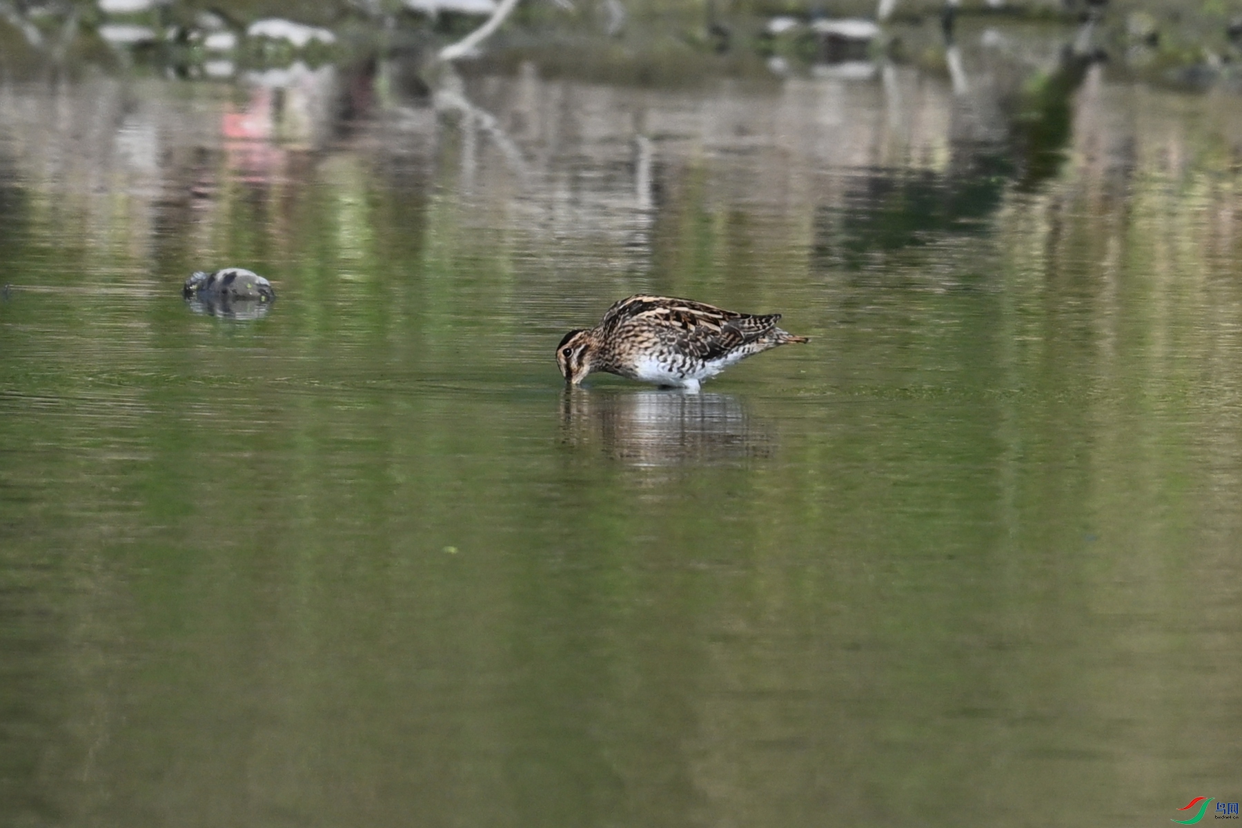 DSC_5051.JPG