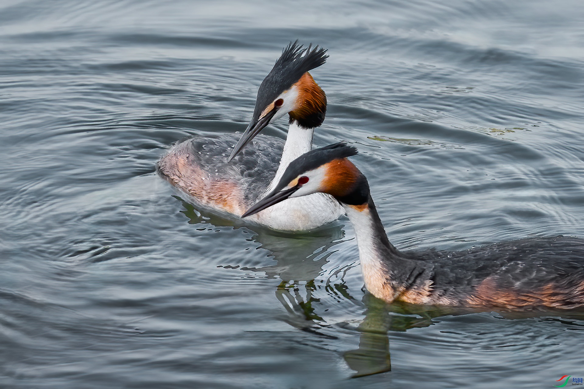 ��ͷ����