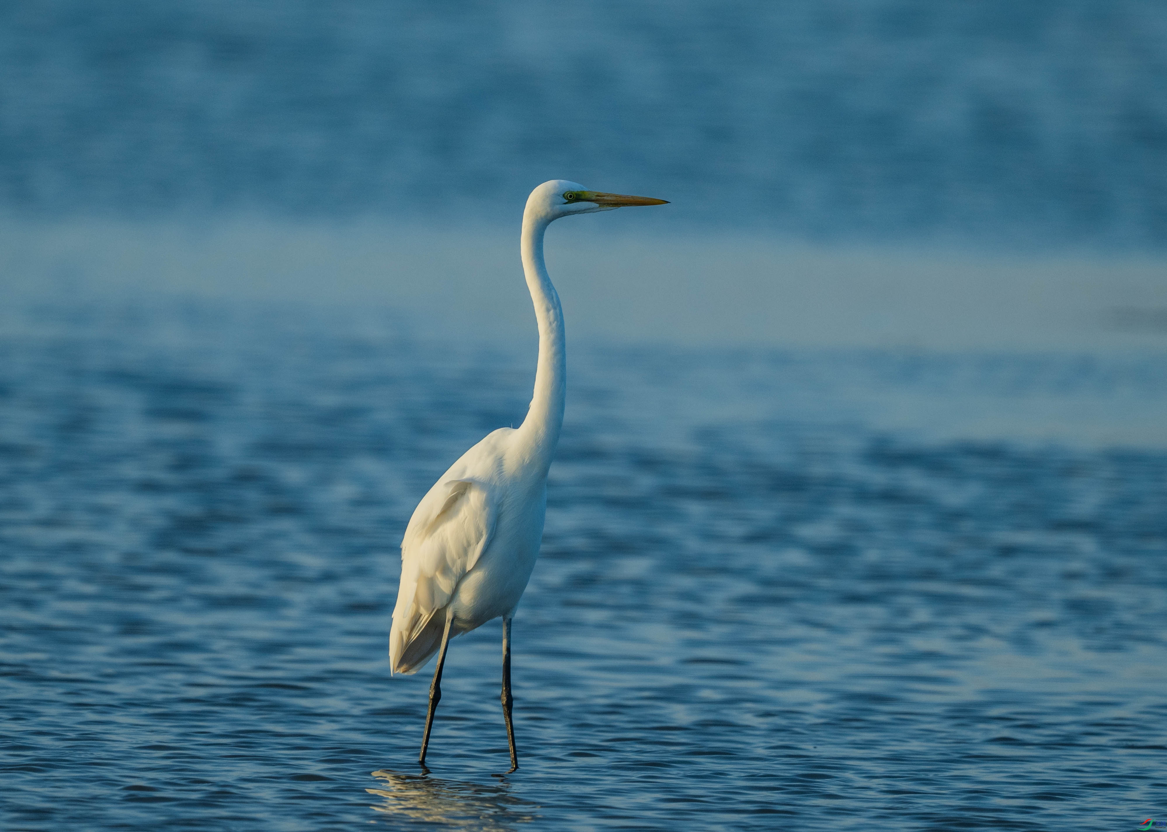 DSC_7275.jpg