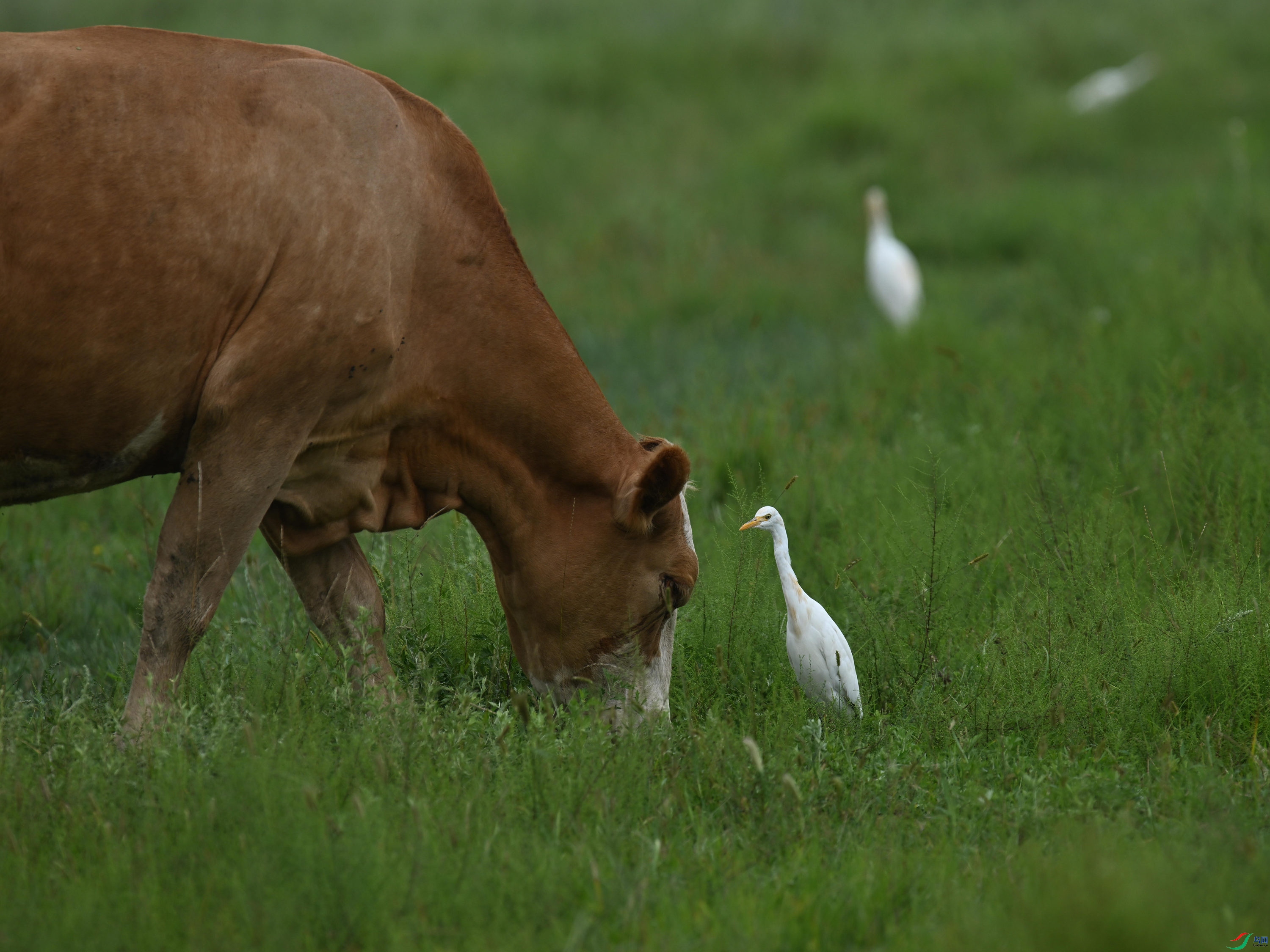 ţ���� (5).jpg