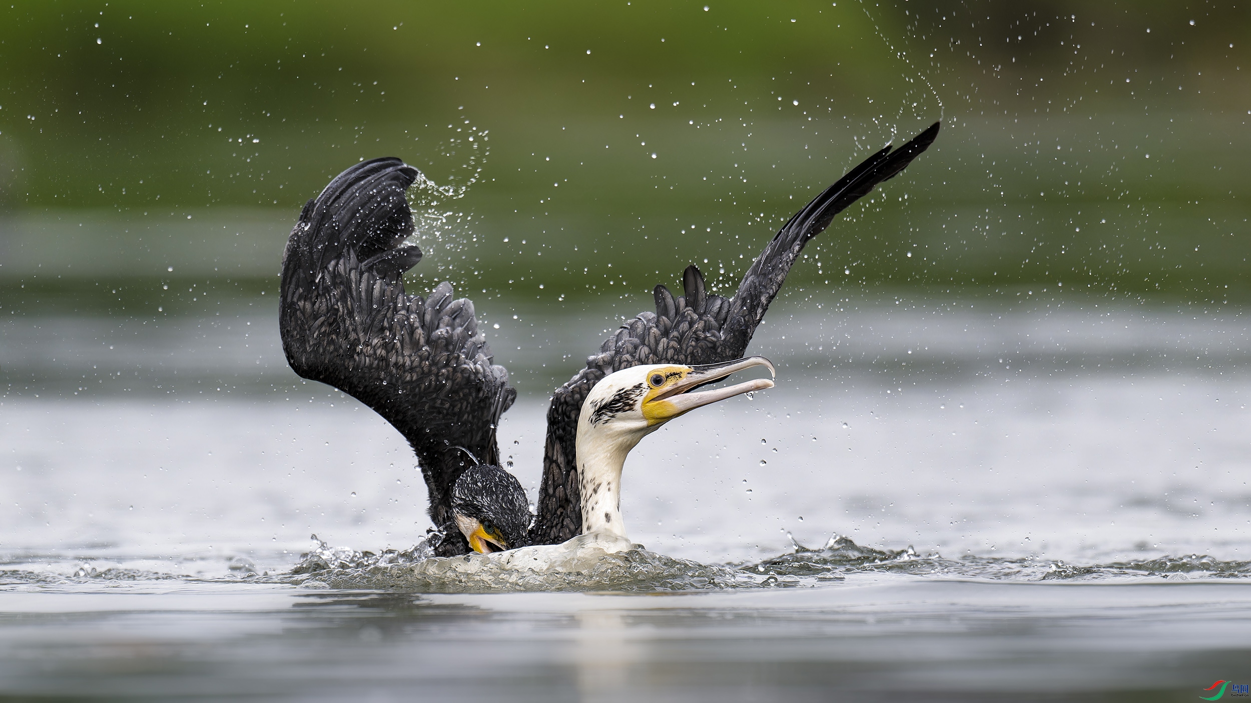 DSC_7640_DxO.jpg