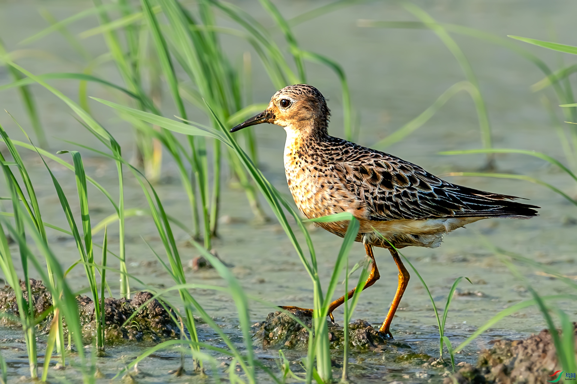 20251113���ر��� .jpg