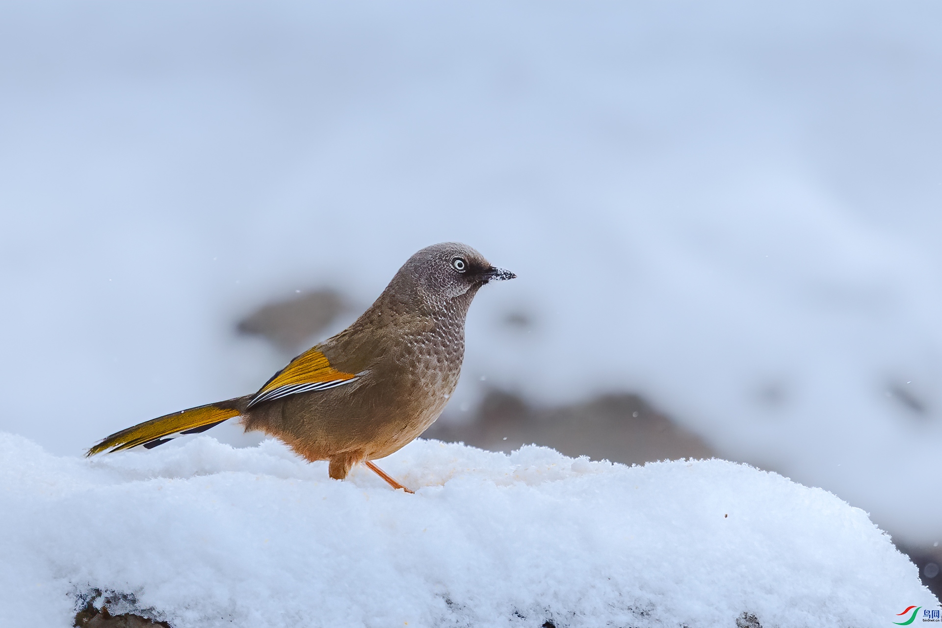 �ȳ�����_J1R0072.jpg