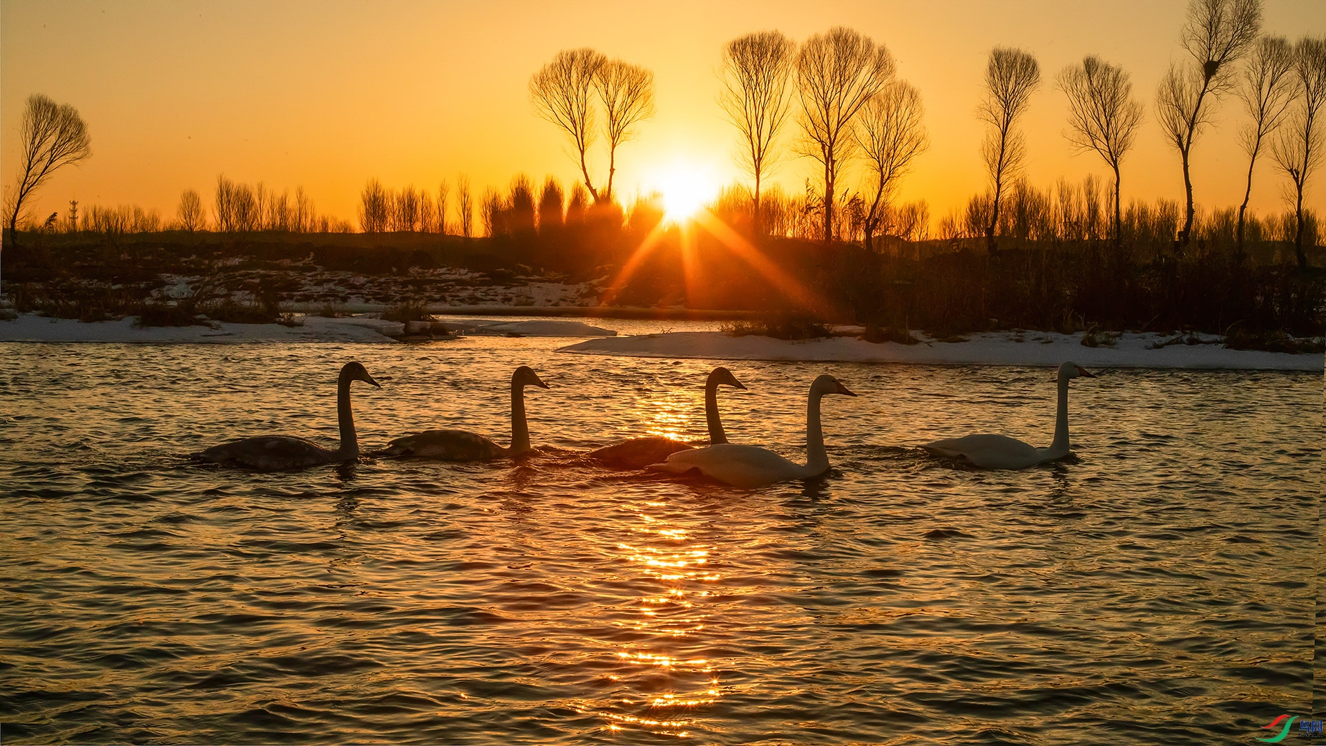 �������ӭ�ճ�