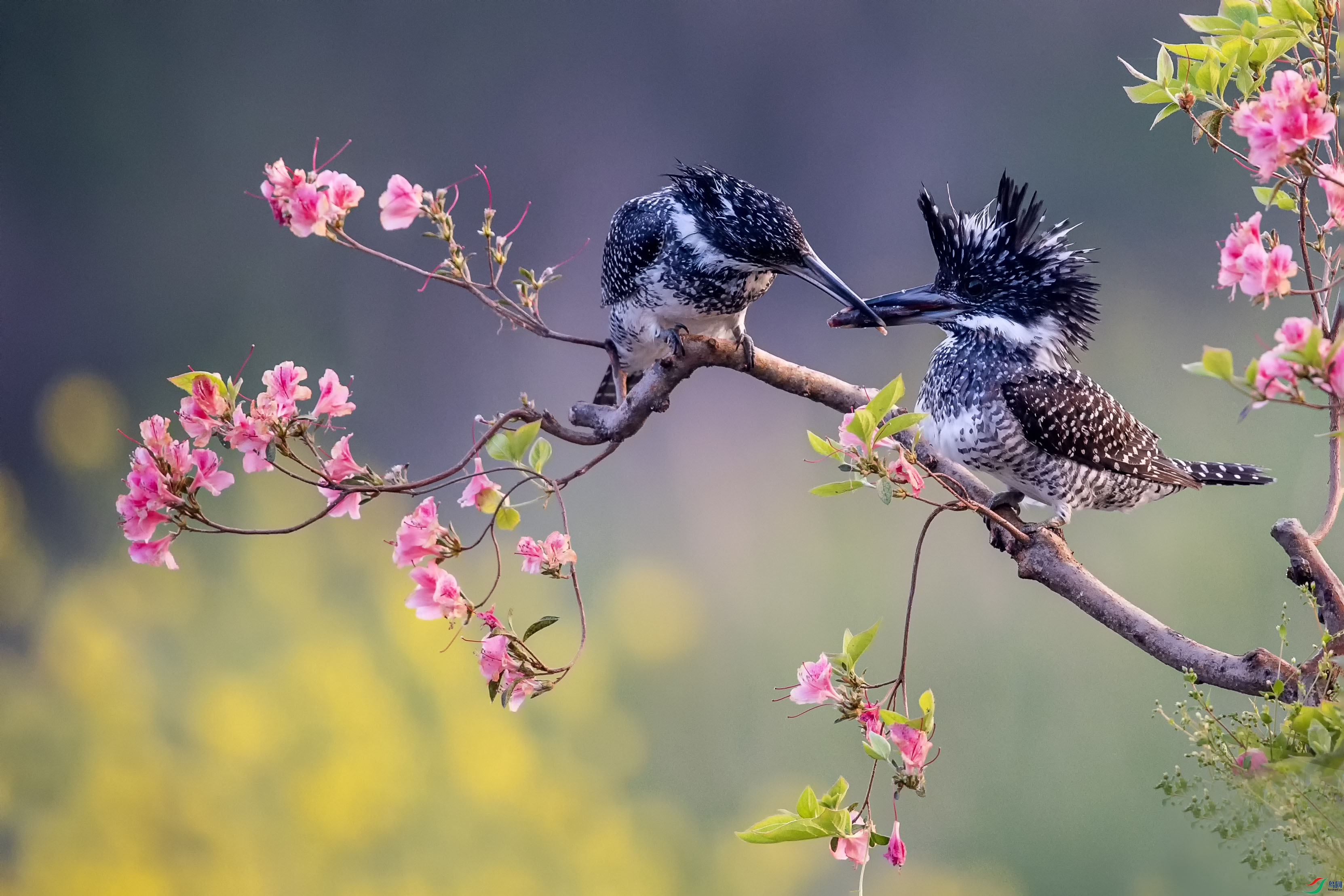 AN4I0189 ���� 2.jpg