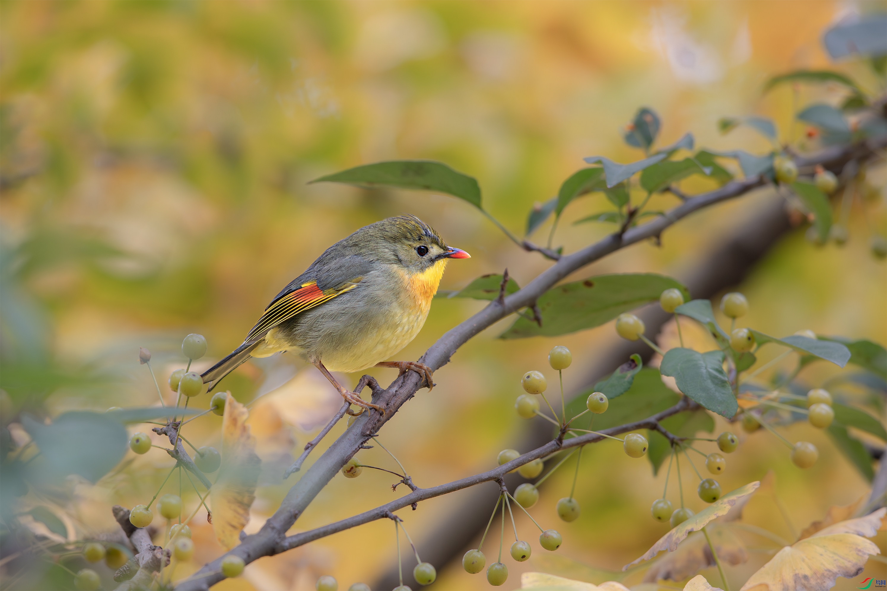 AY8I9136 ����.jpg