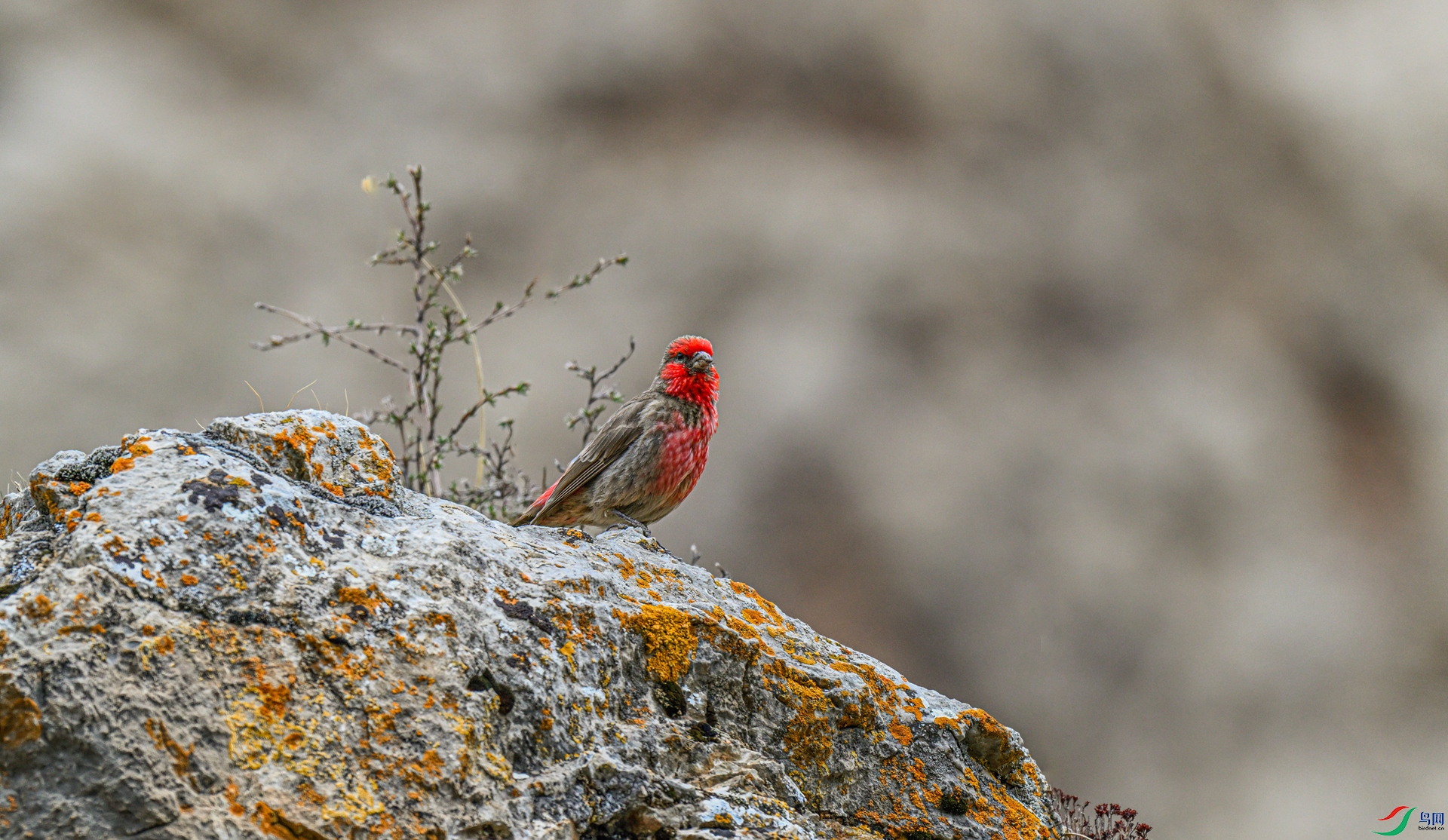 _DSC4830 ����_����.jpg