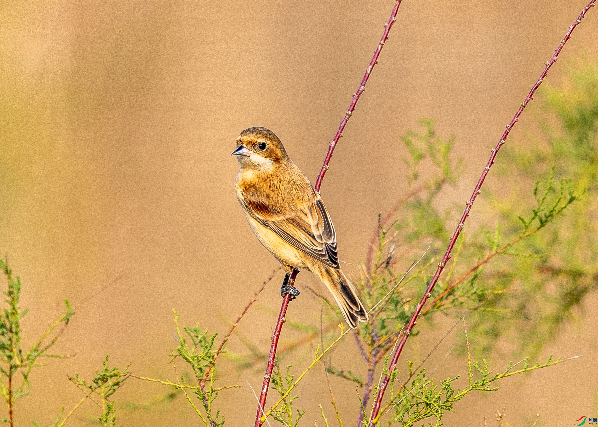 IMG_5696 ����000.jpg