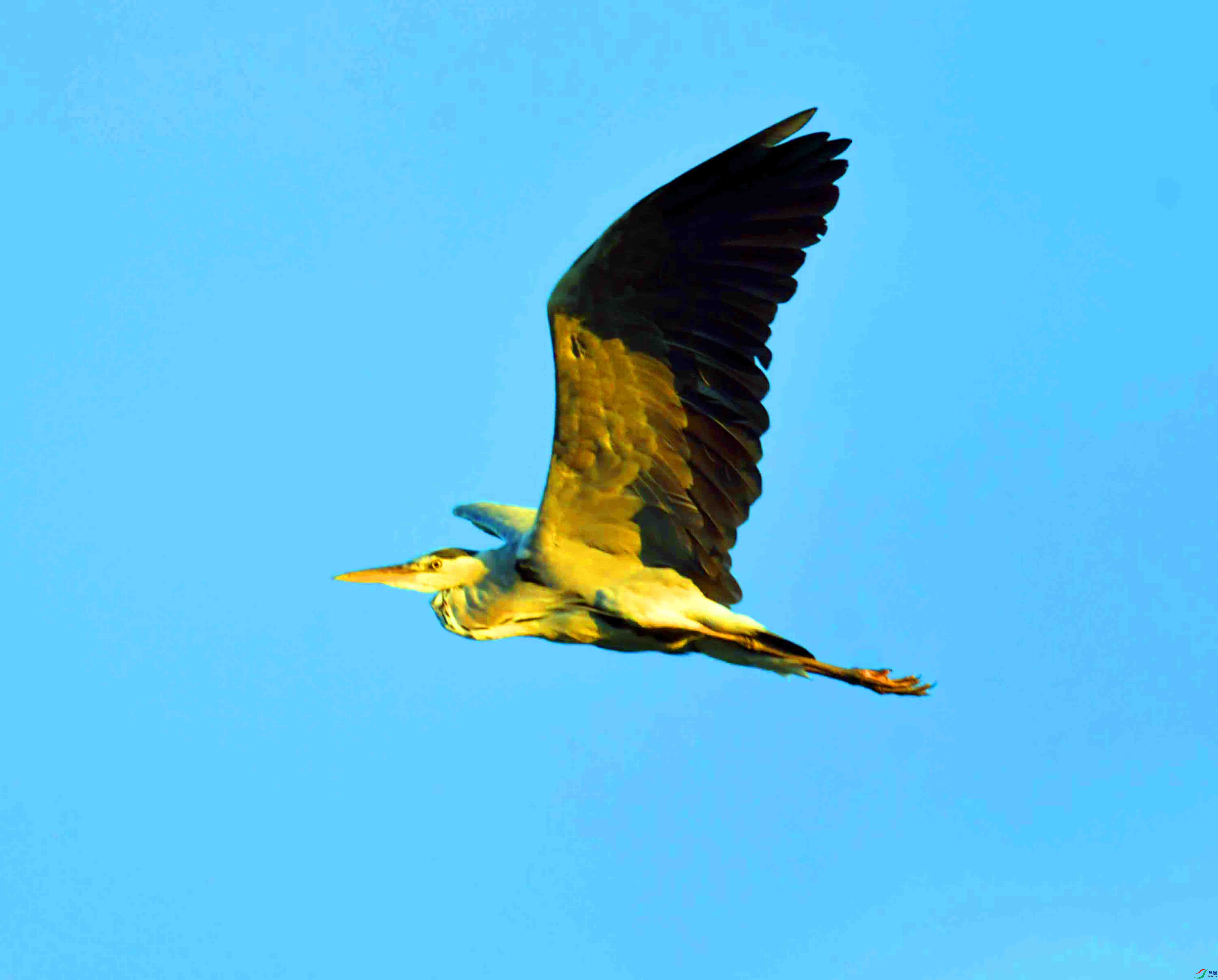 DSC_2577.JPG