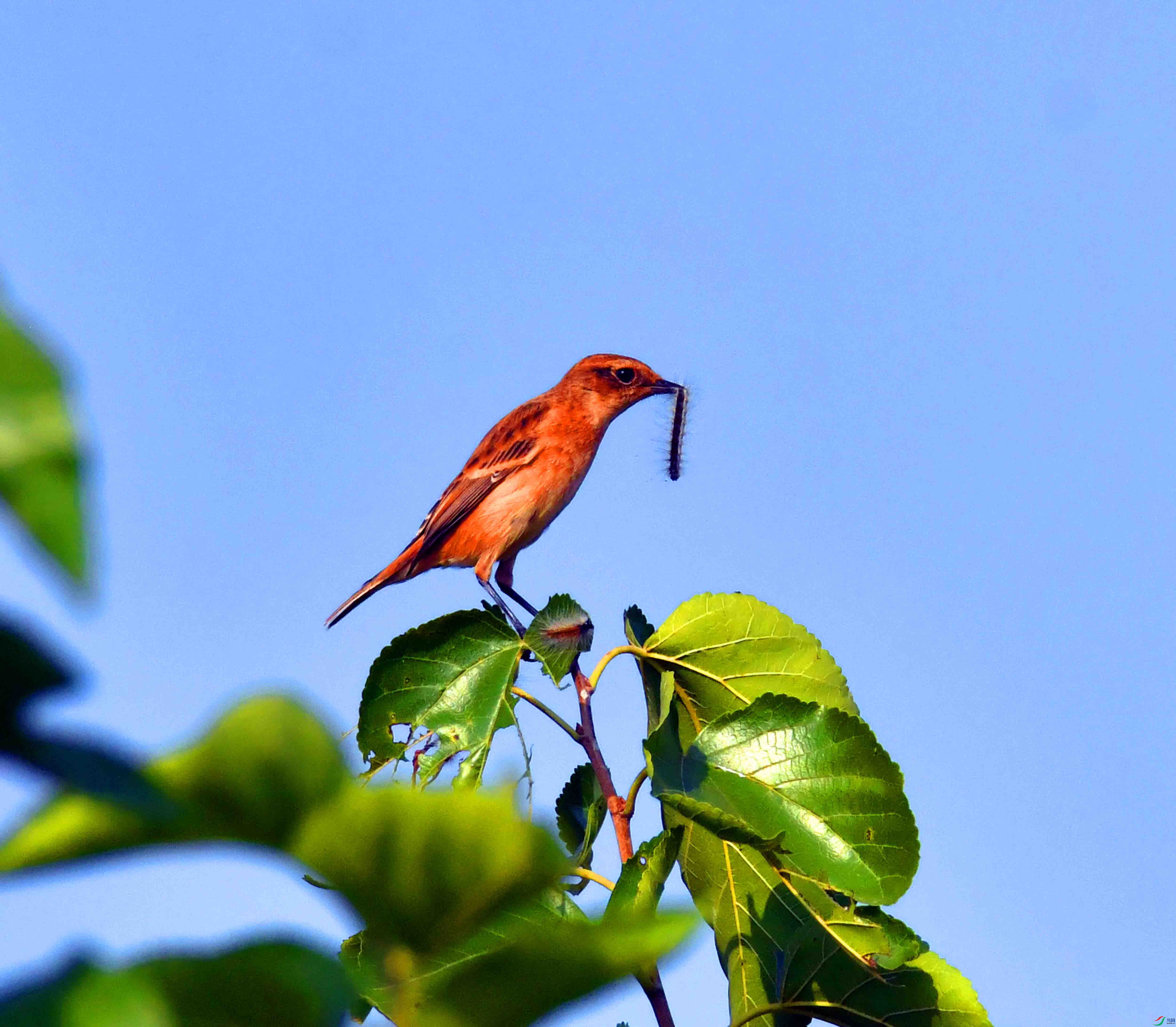 DSC_2975.JPG