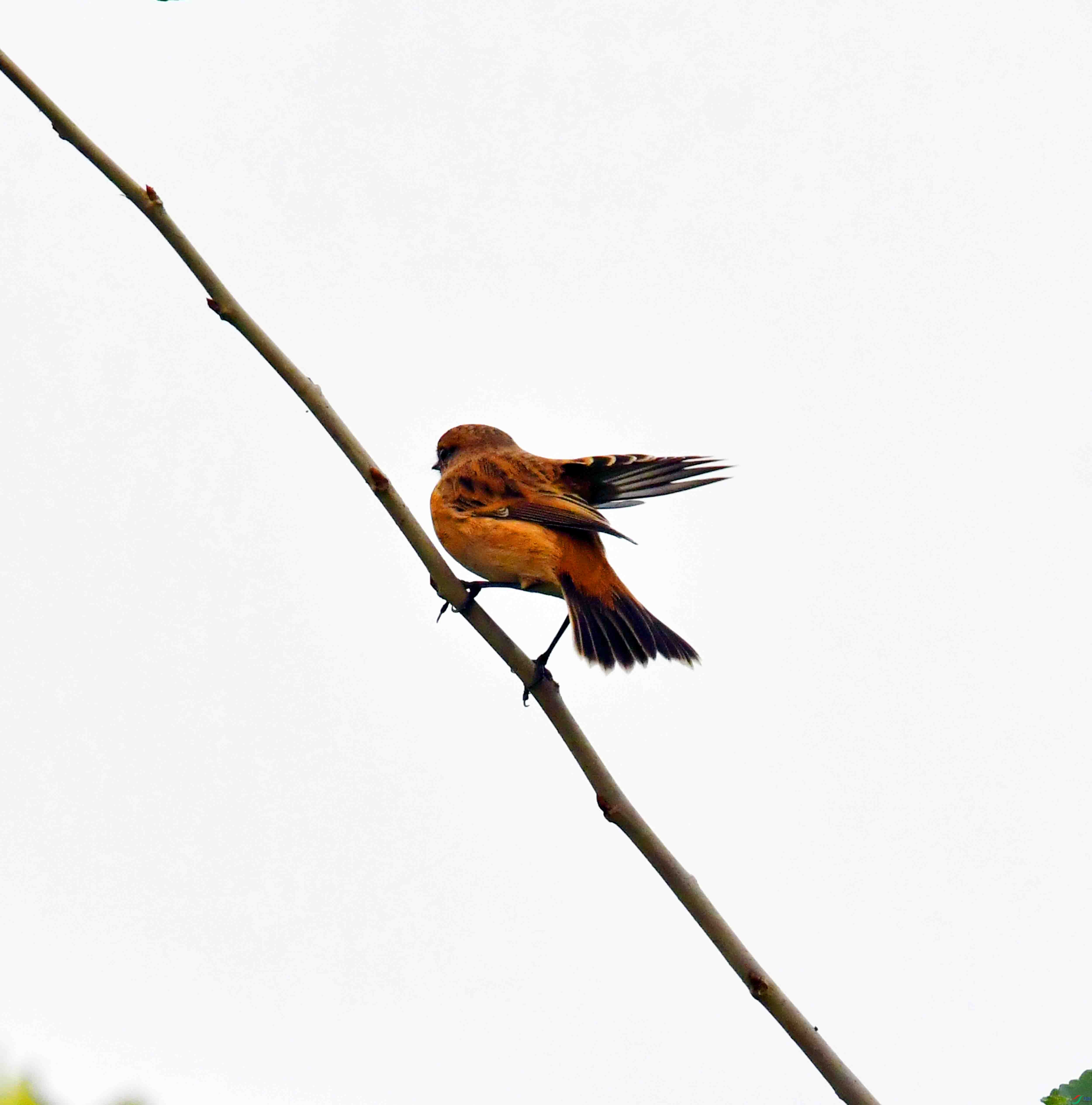 DSC_3401.JPG
