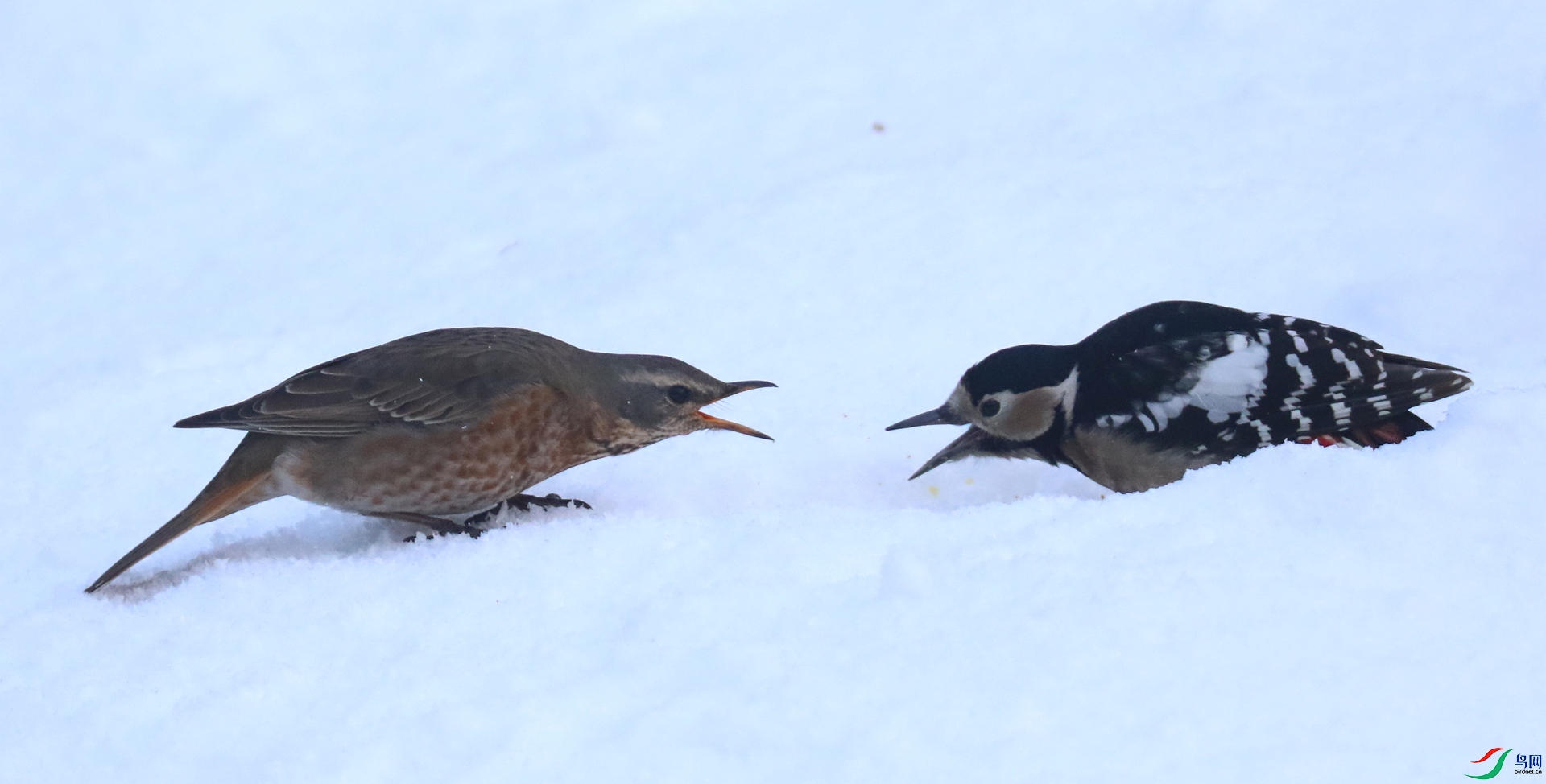 0G1A4773 ����.jpg