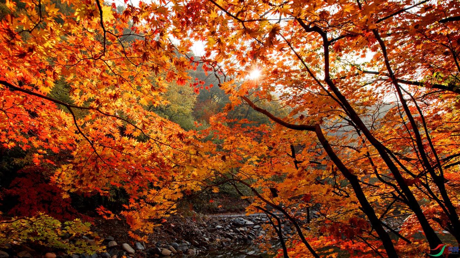 0S9A9408-����ǿ-NR ����.jpg